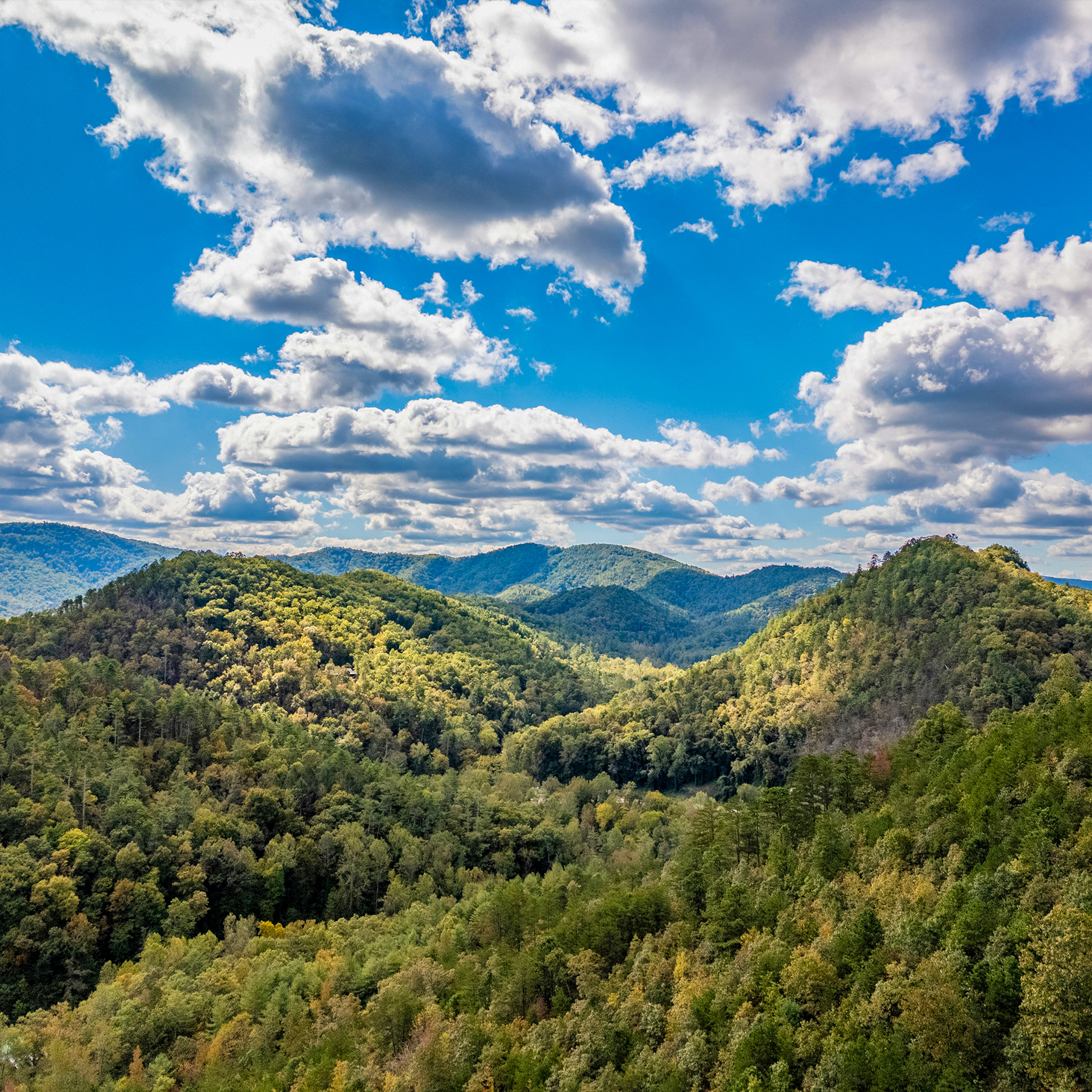 Mountain property in Townsend