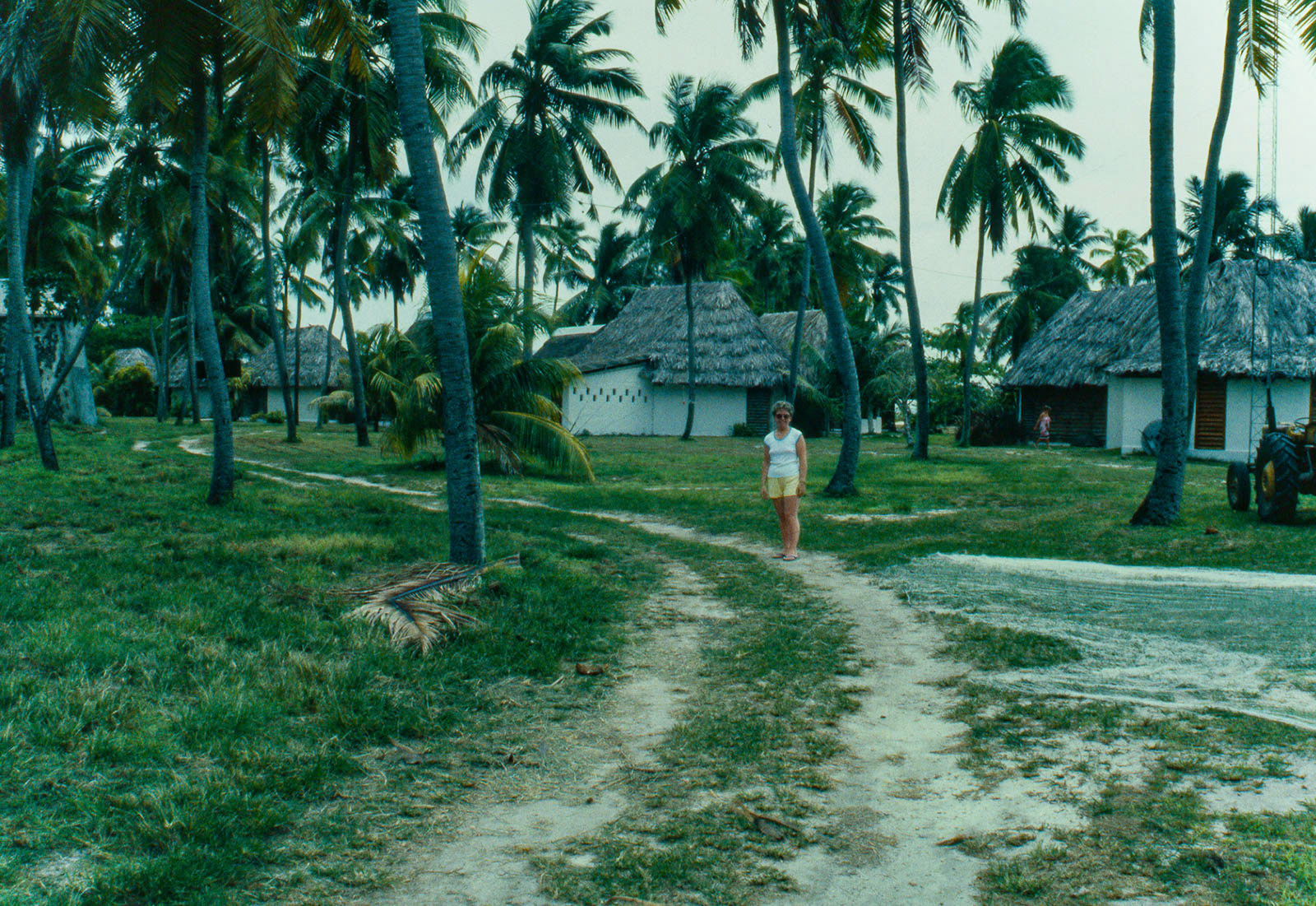 Bird island centre. Straw huts are accomodation and staff quarters.