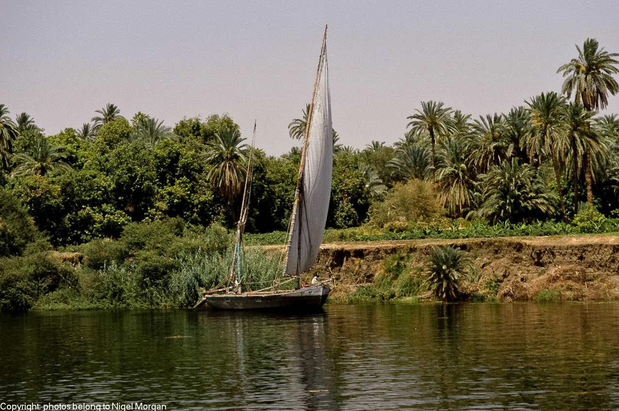 Feluca on Nile.