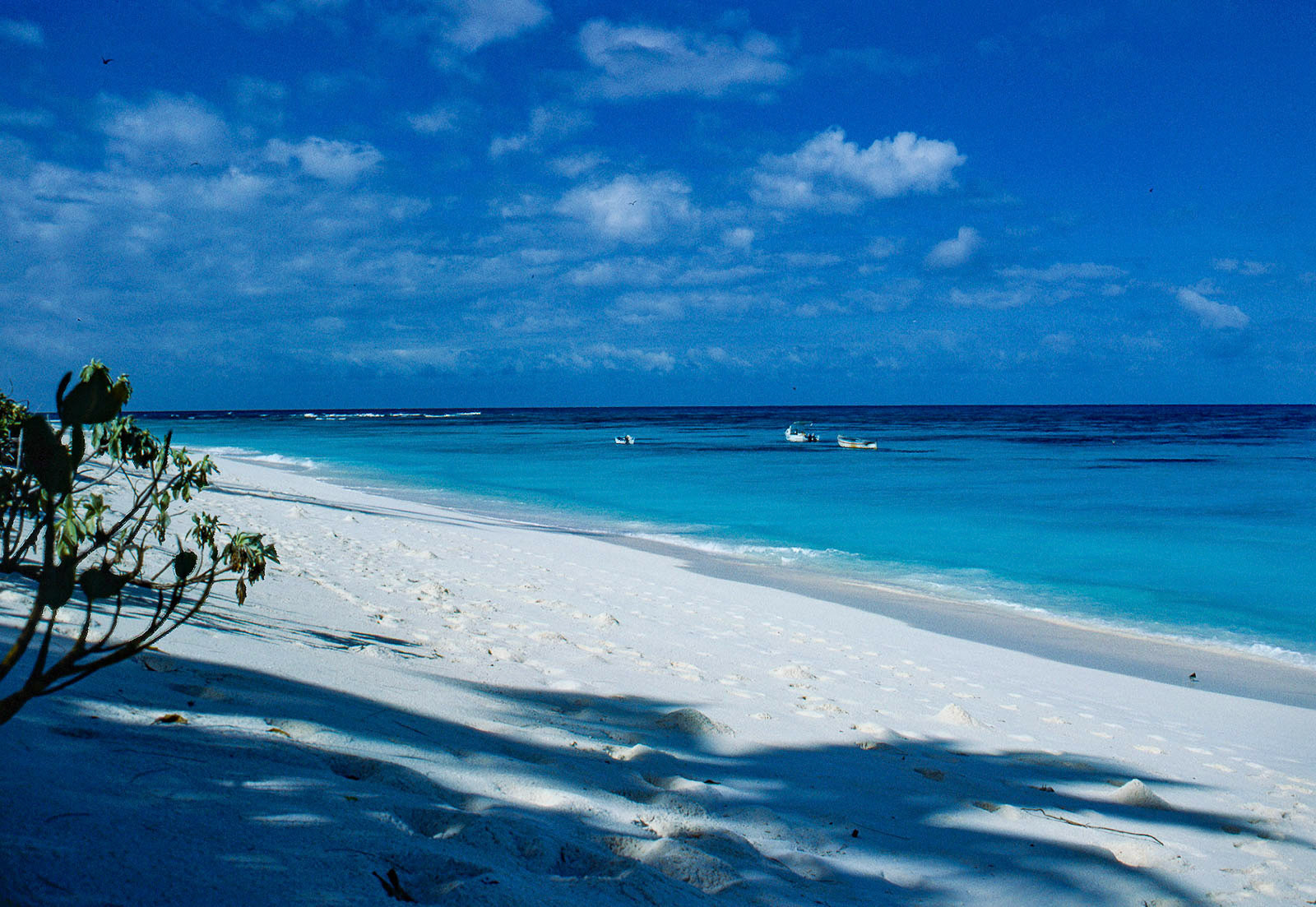 Amazing Indian Ocean