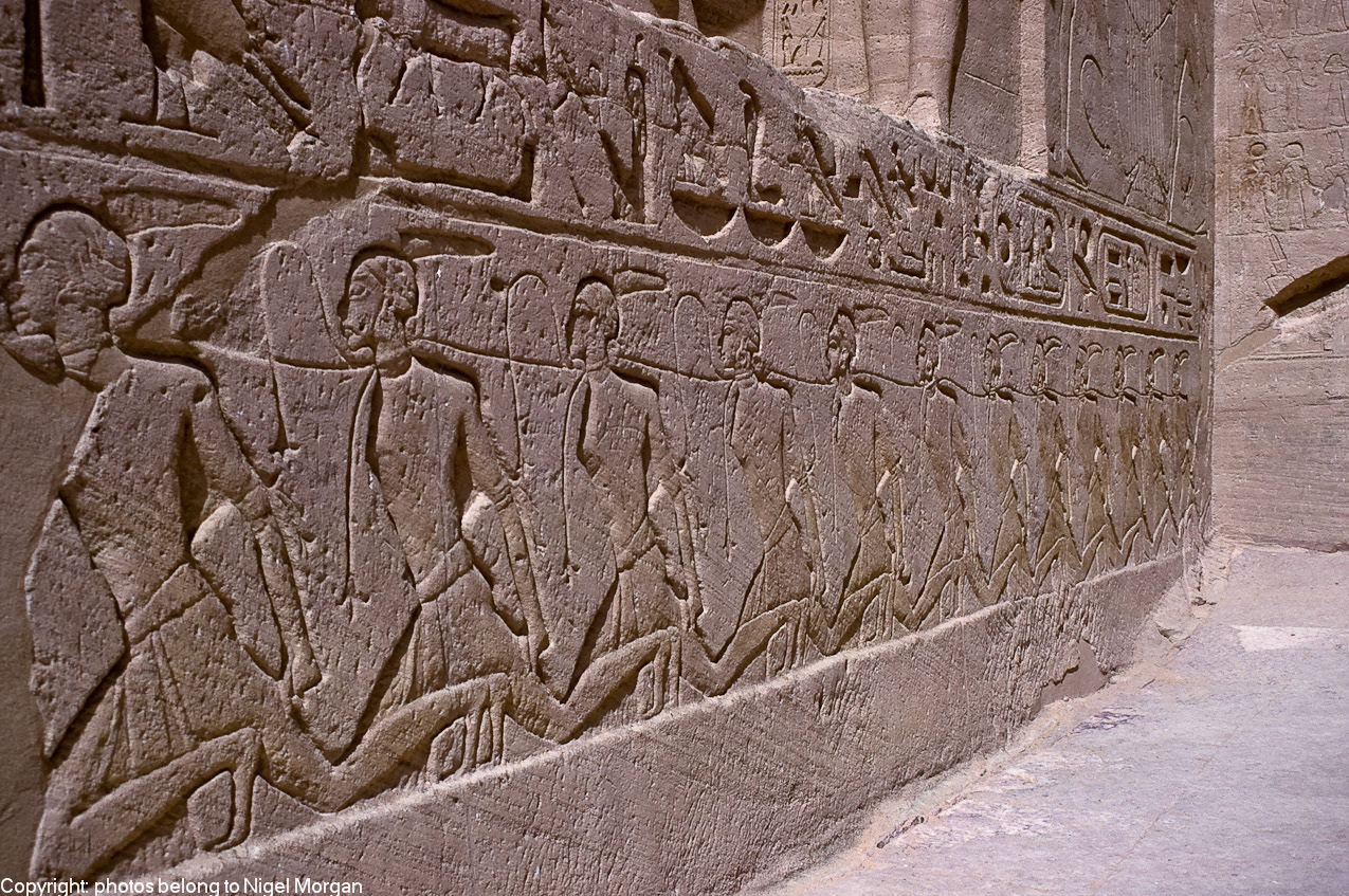 Images of enemies captured during battles.