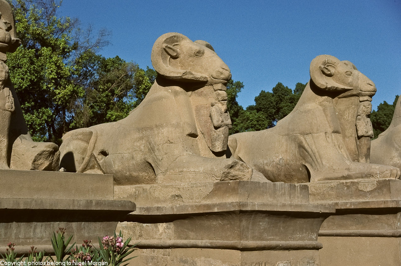 Ram-headed sphinxes. 