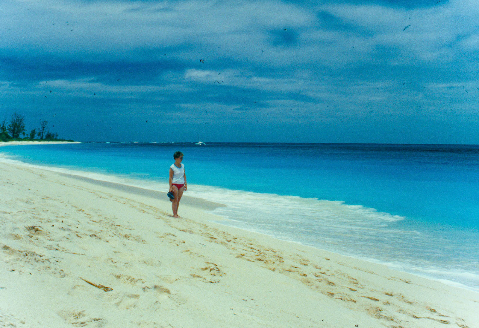 Coral sand so soft you sank in when walking