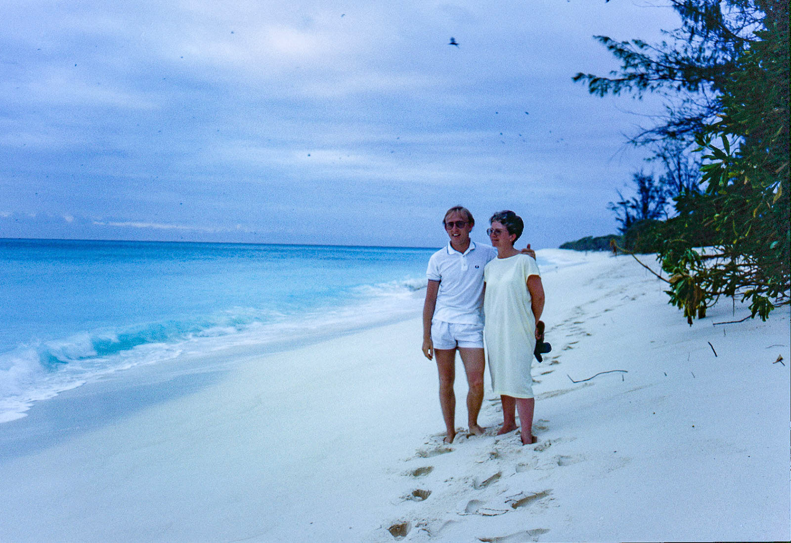 Dark specs in the sky are birds