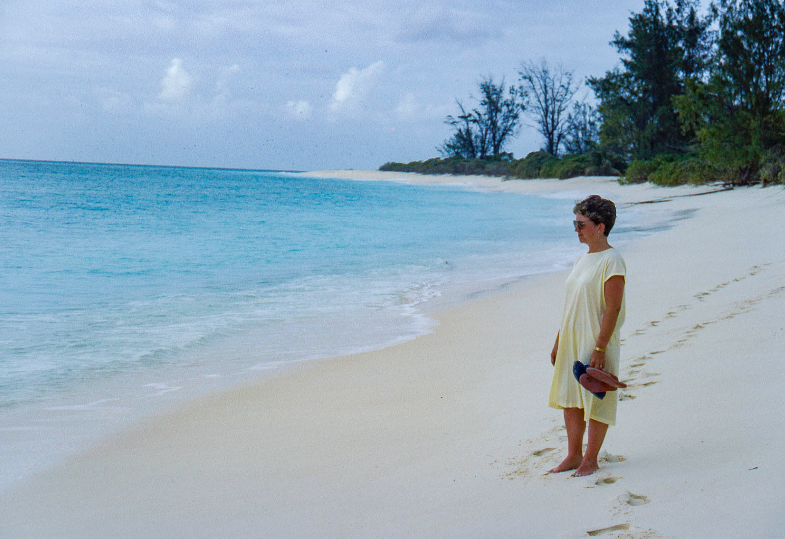 Bird Island amazing coral sand
