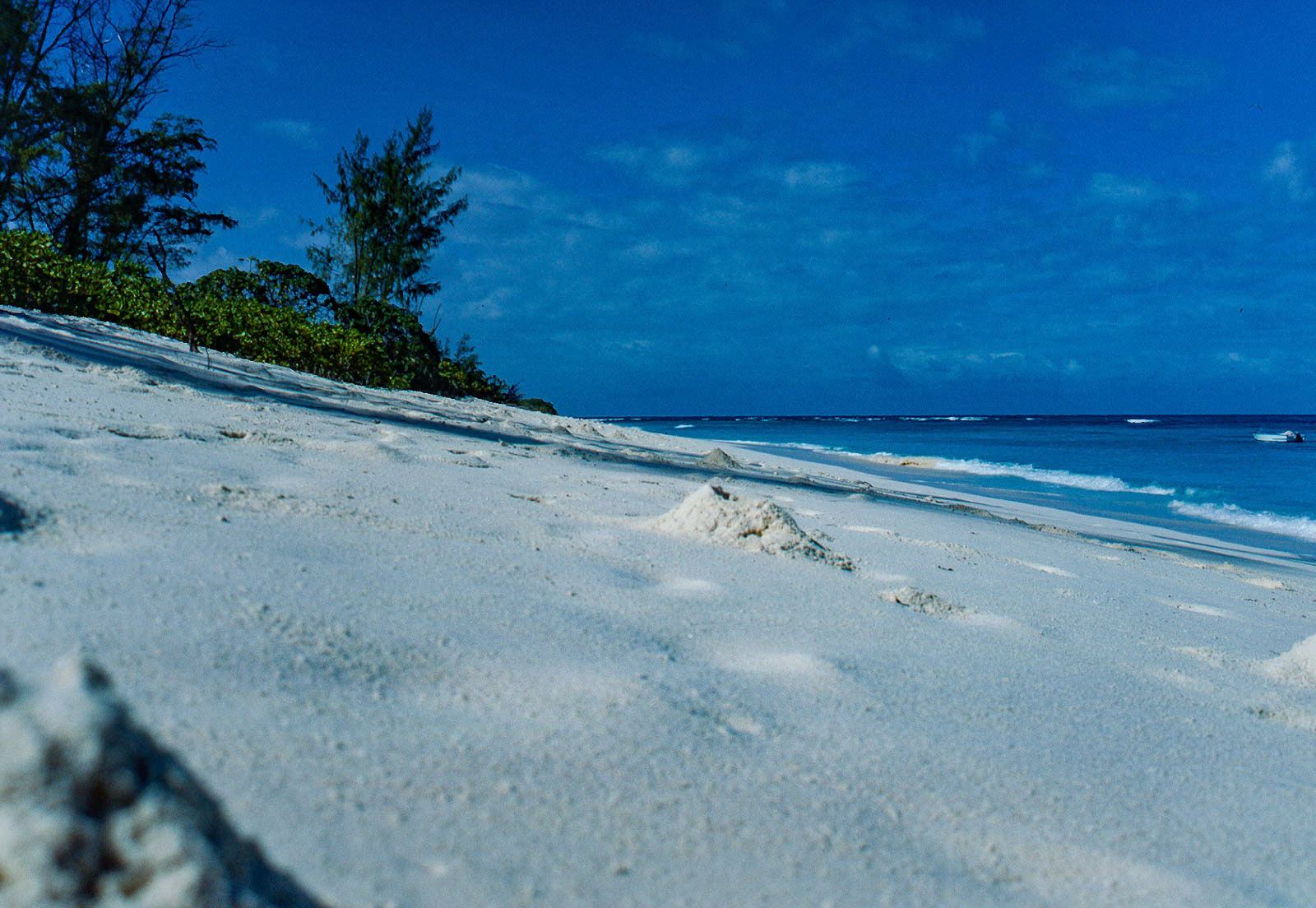 Crab sand mounds. when you walked away they cam out/