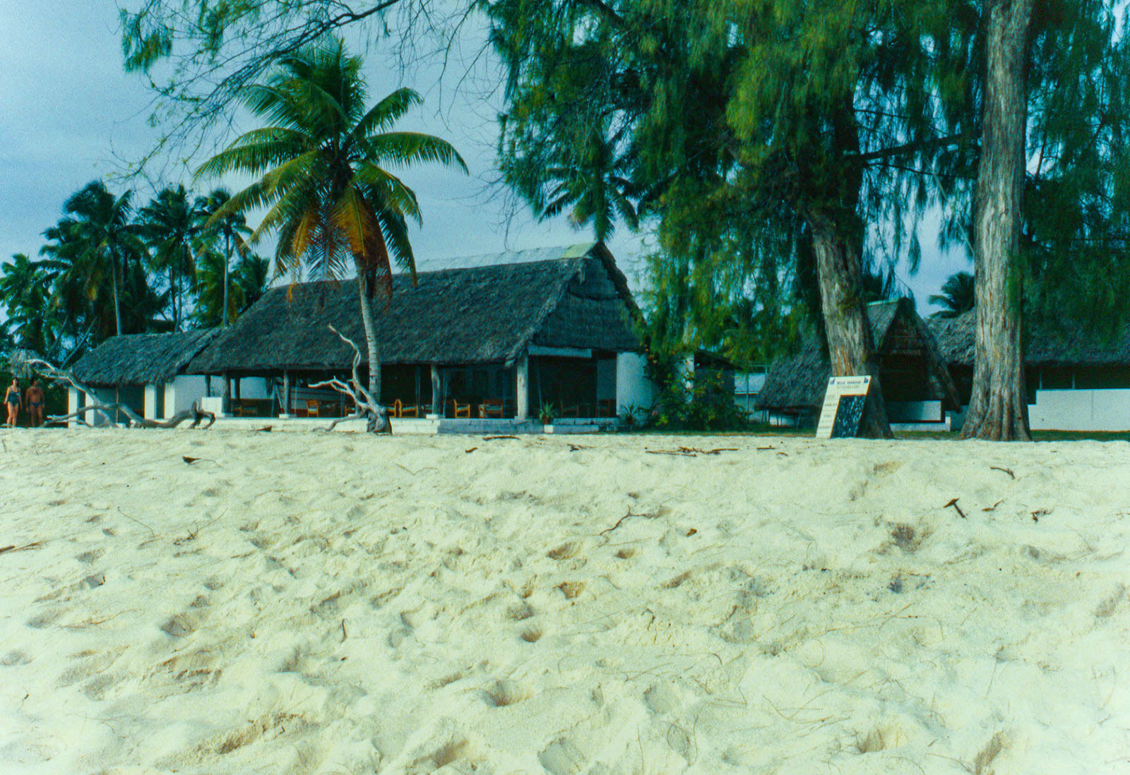 bar Area on Bird island