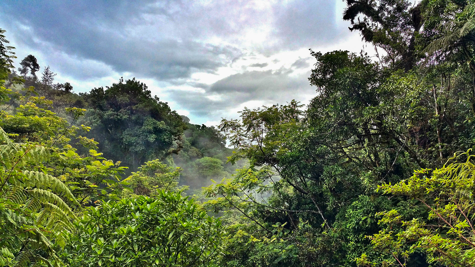 Location: La Tigra National Park