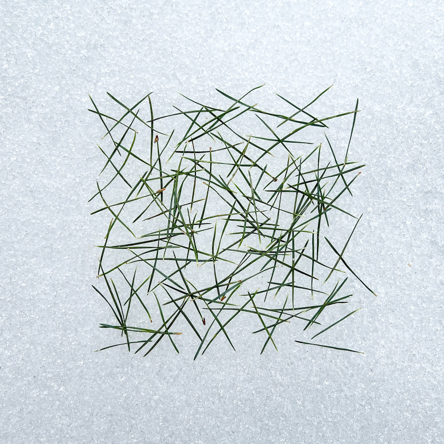 145 lines, 27th December, pine needles on snow