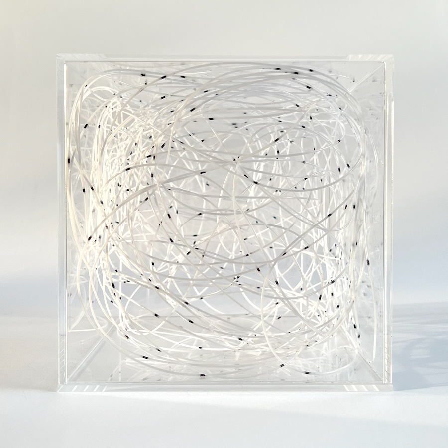 269 lines, 29th April, a piece of 26.9 m plastic wire (found at a building site) was divided into 269 parts by marking every 10 cm. Marker on plastic wire in a 15x15x15 cm acrylic box