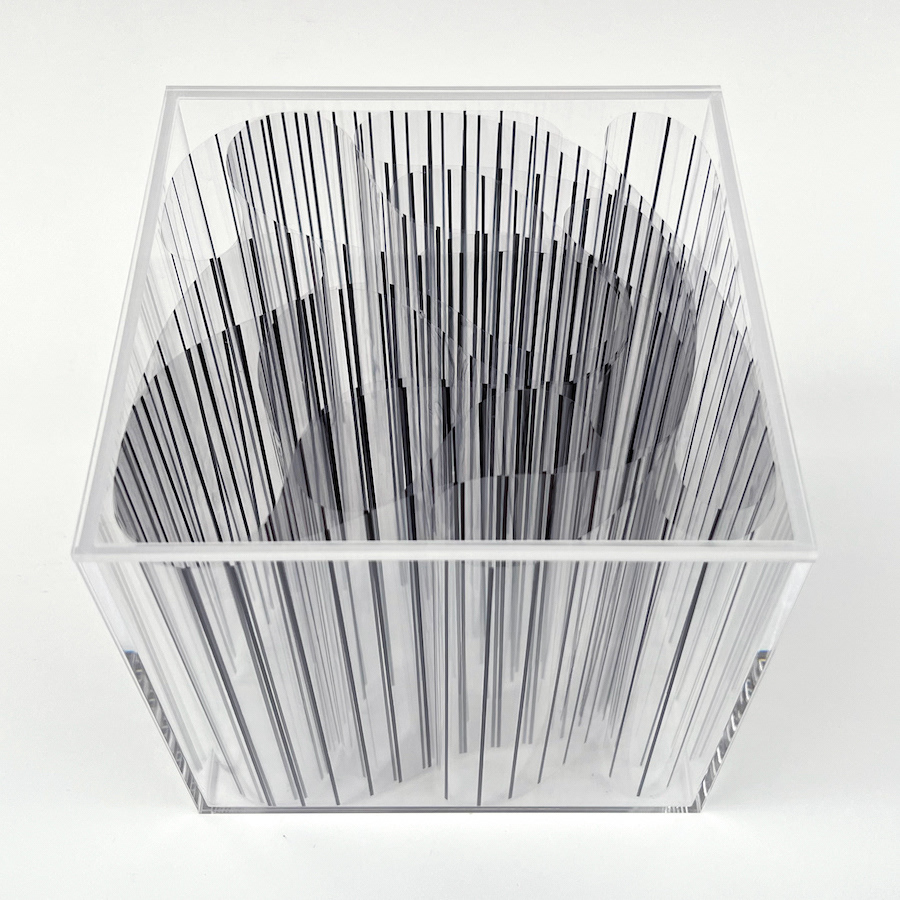 307 lines, 6th June, marker pen on a 14 x 309 cm clear sheet, in an acrylic