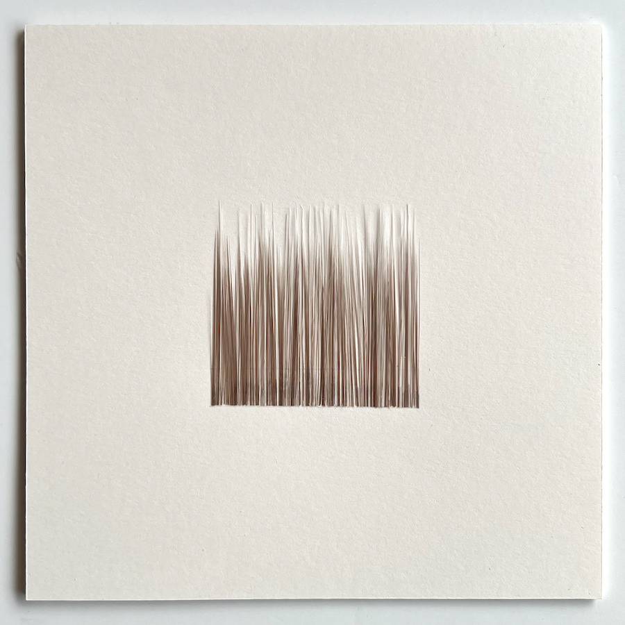 204 lines, 24th February, hairs of a paintbrush glued on paper