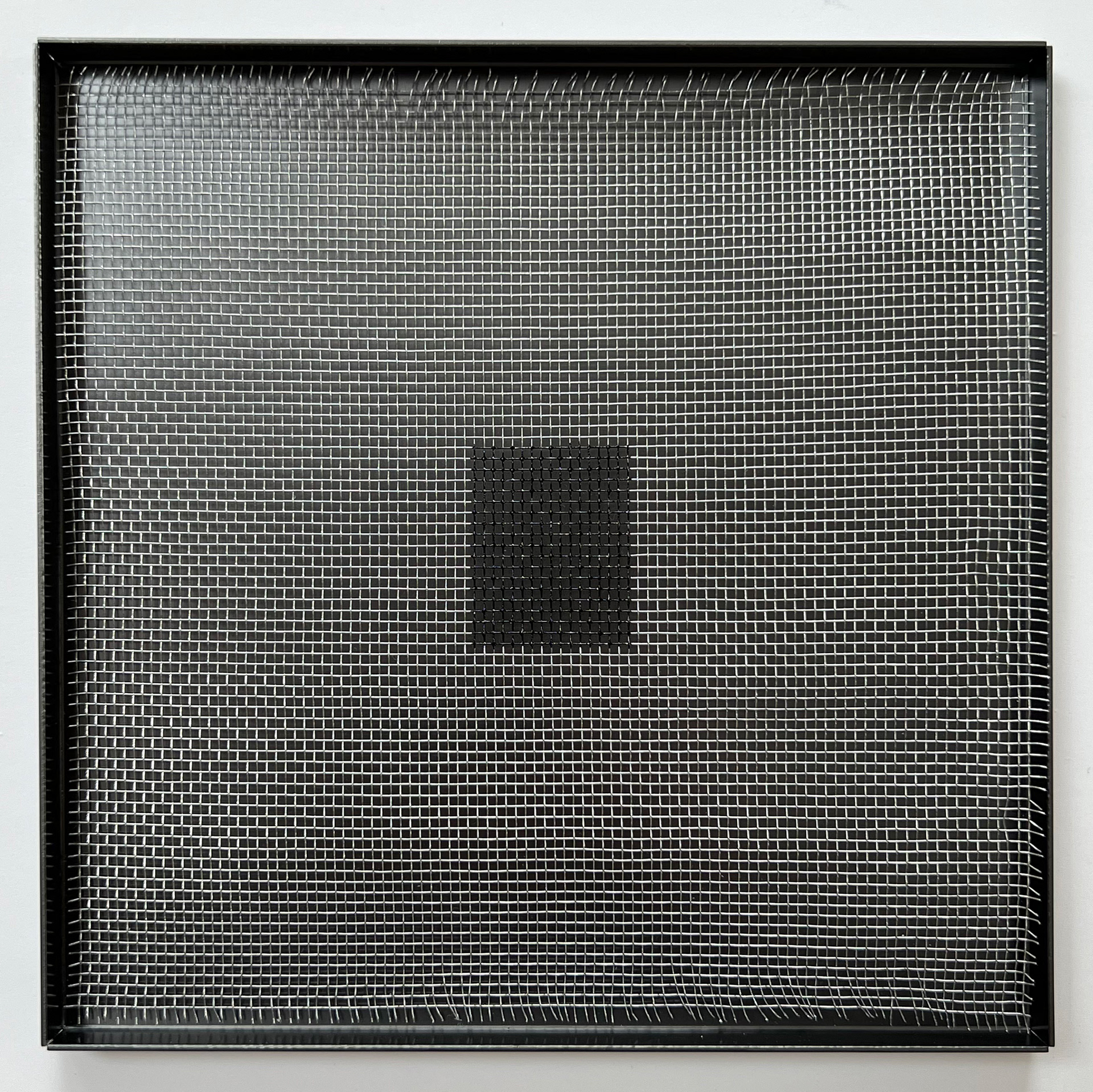 323 lines, 22nd June, from a 15x15 cm piece of wire mesh 323 lines were painted with a paint marker