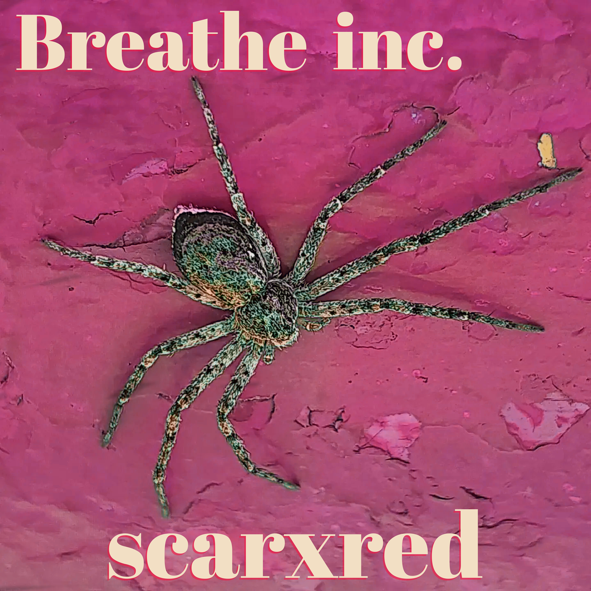 Breathe Inc