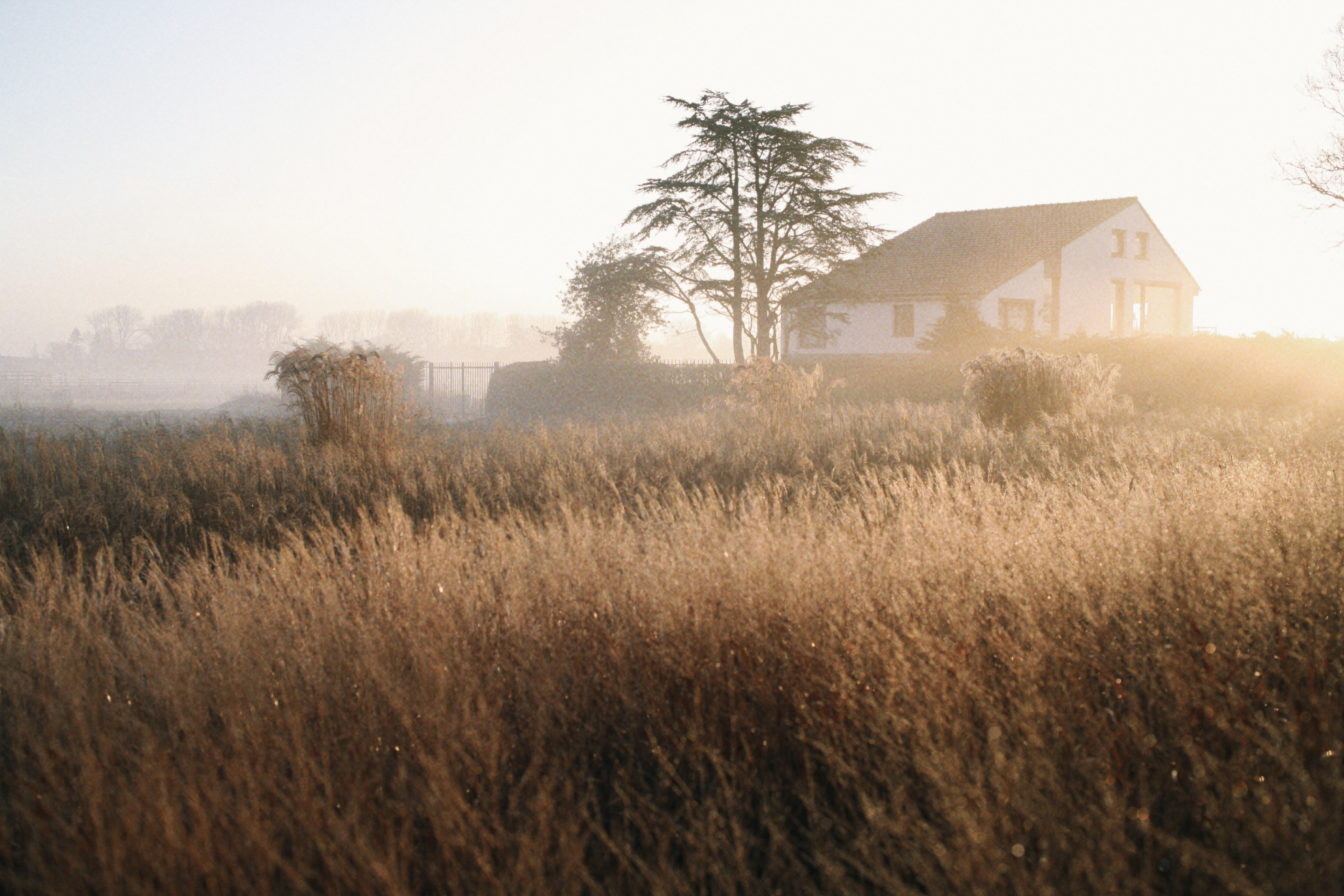Photo of famr land near Den Haag, shot on the Canon 5D Classic.