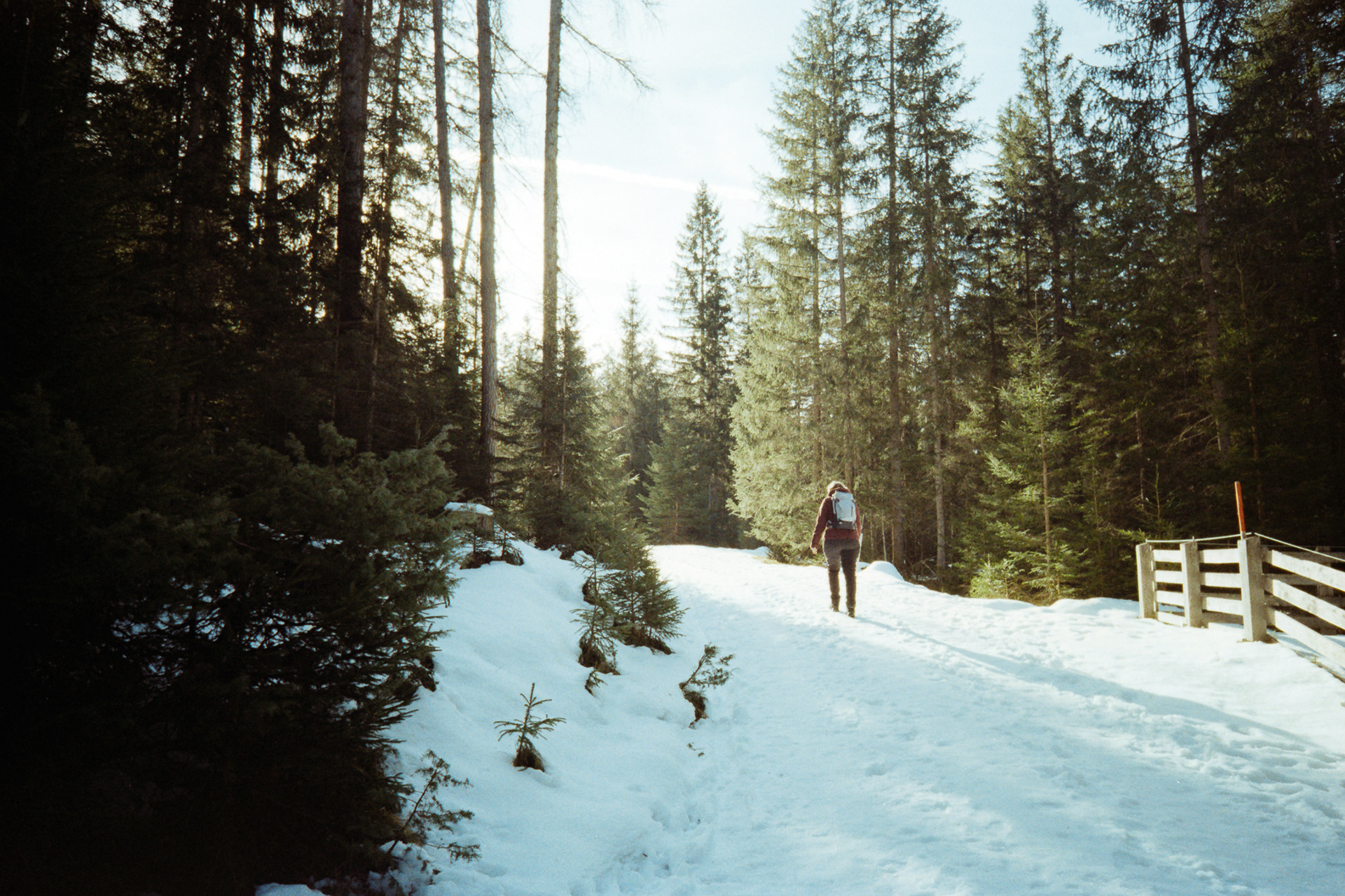 35mm film photo of hiker in the woods, Kodak Snapic A1 sample image.