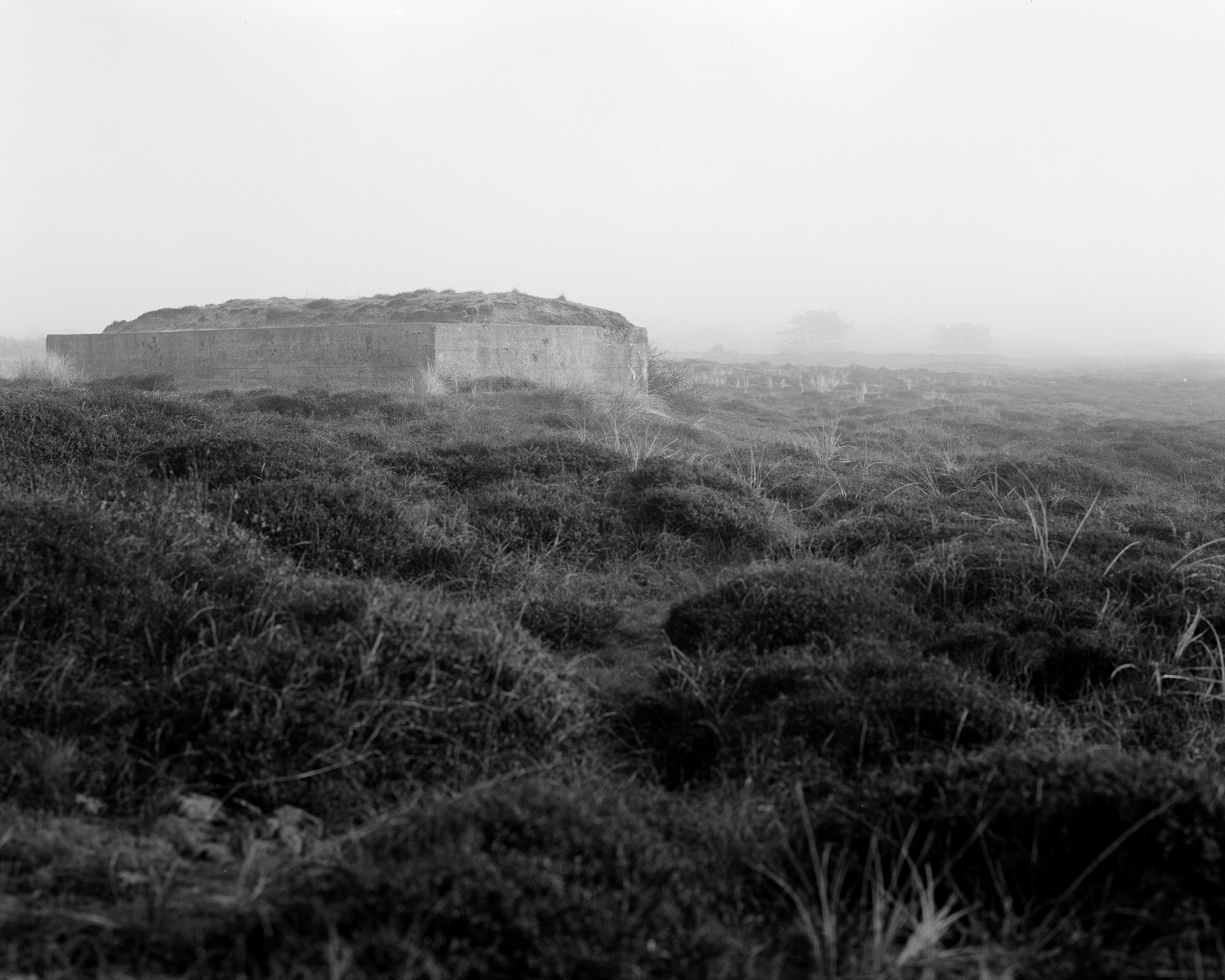 4x5 photo example made on Fomapan 200.