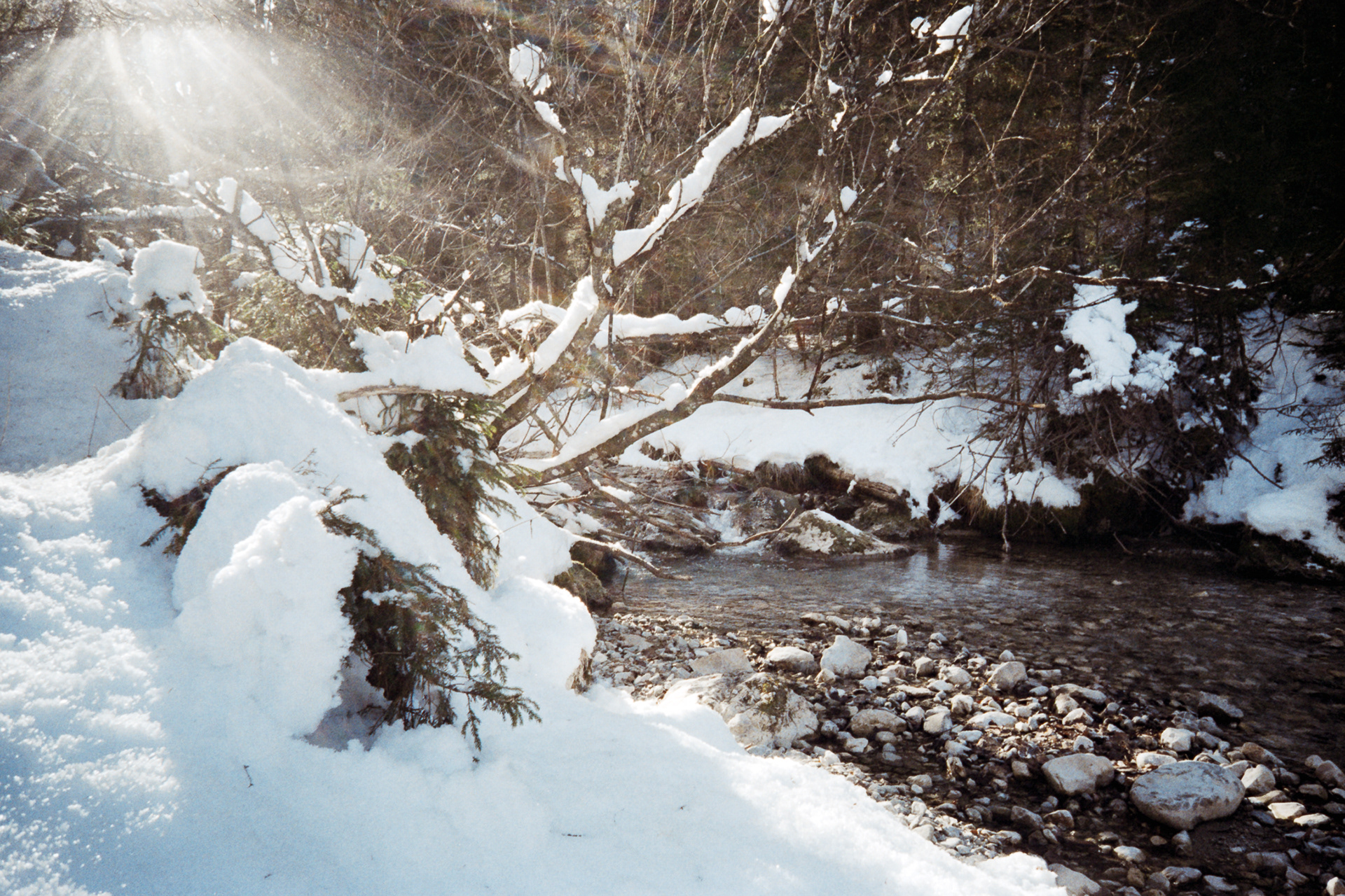 Film photo showing unusual lens flare shapes from the Kodak Snapic A1.