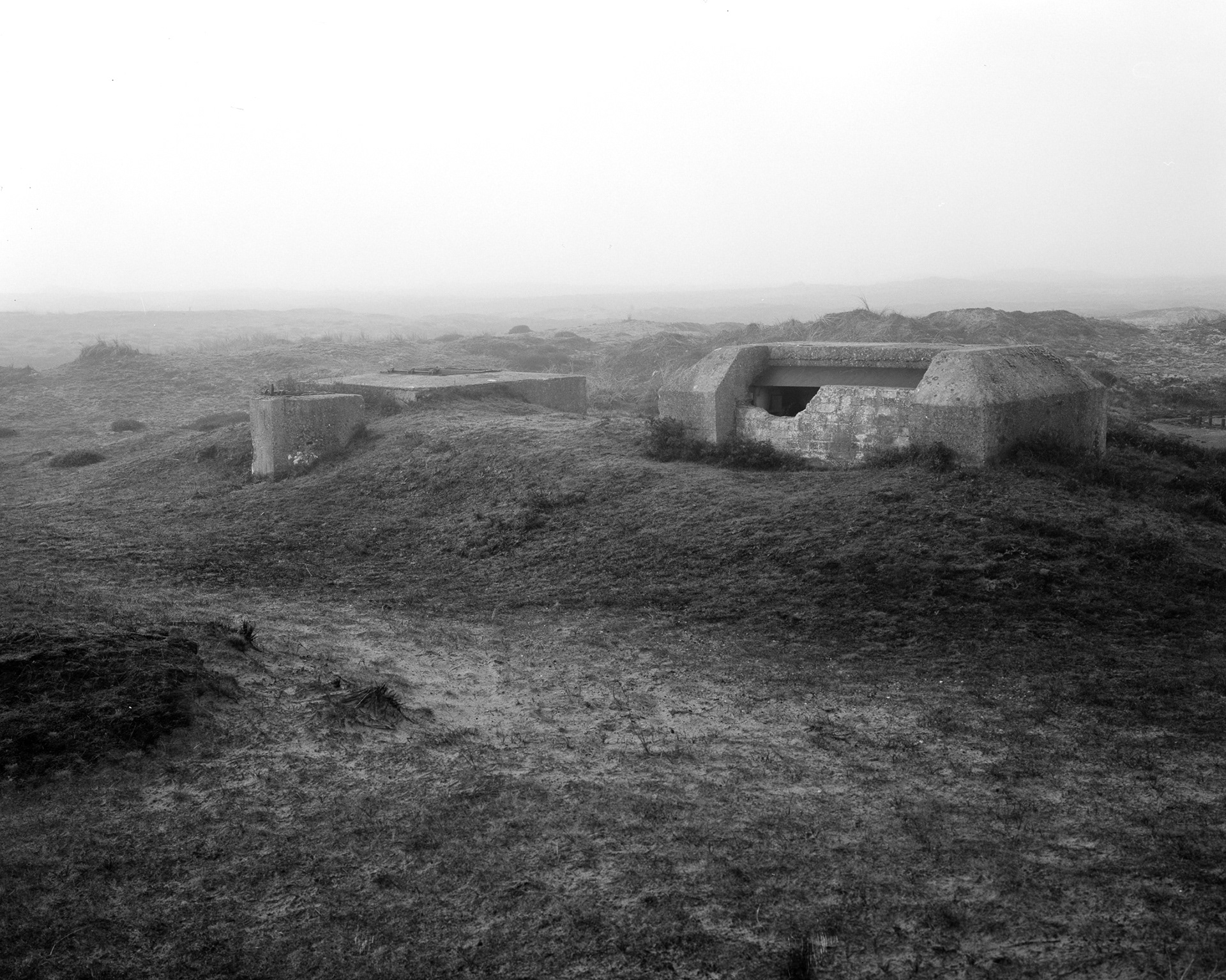 4x5 photo example made on Fomapan 200.