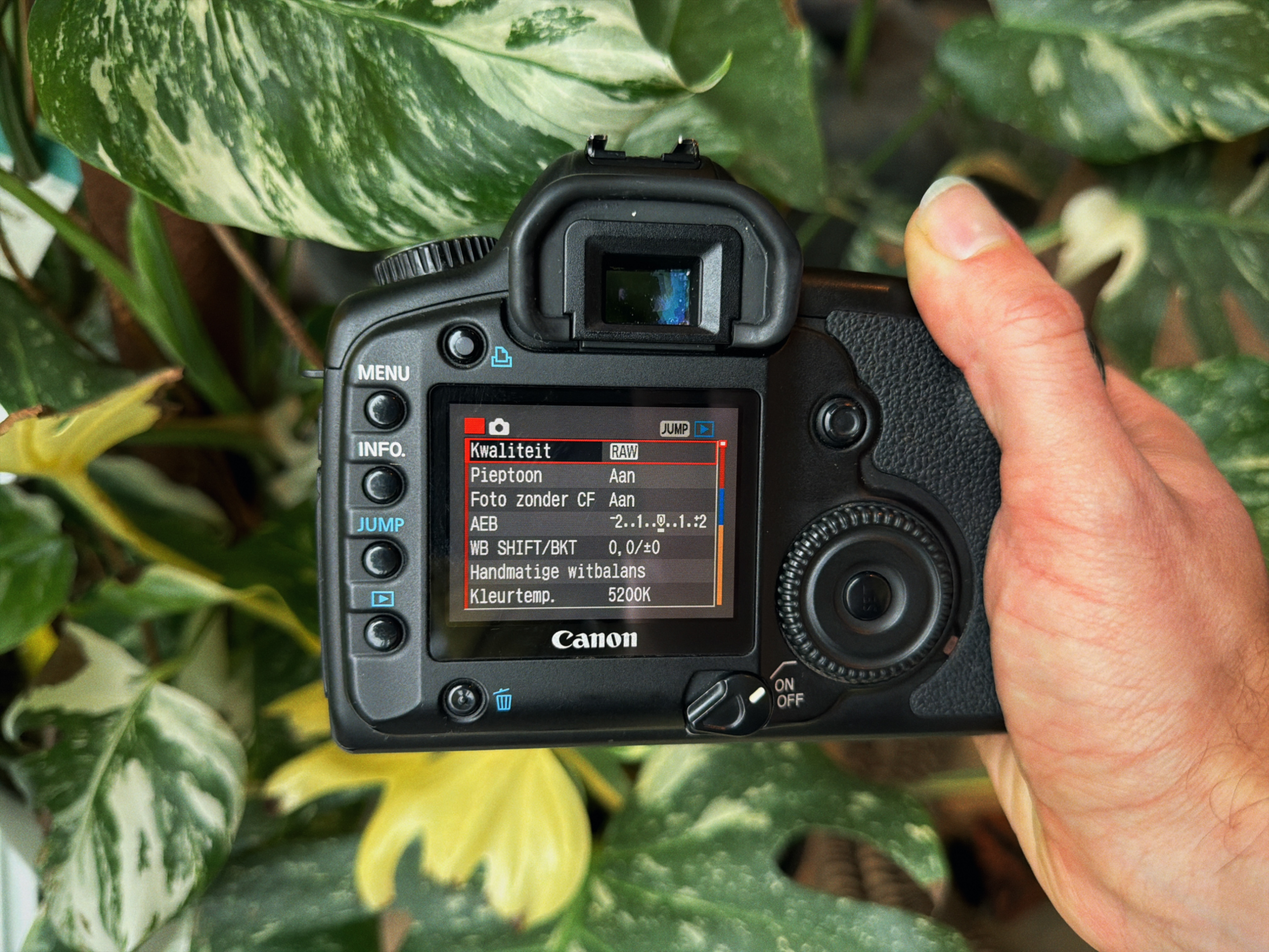 Canon 5D MKi Classic DSLR camera, rear view.