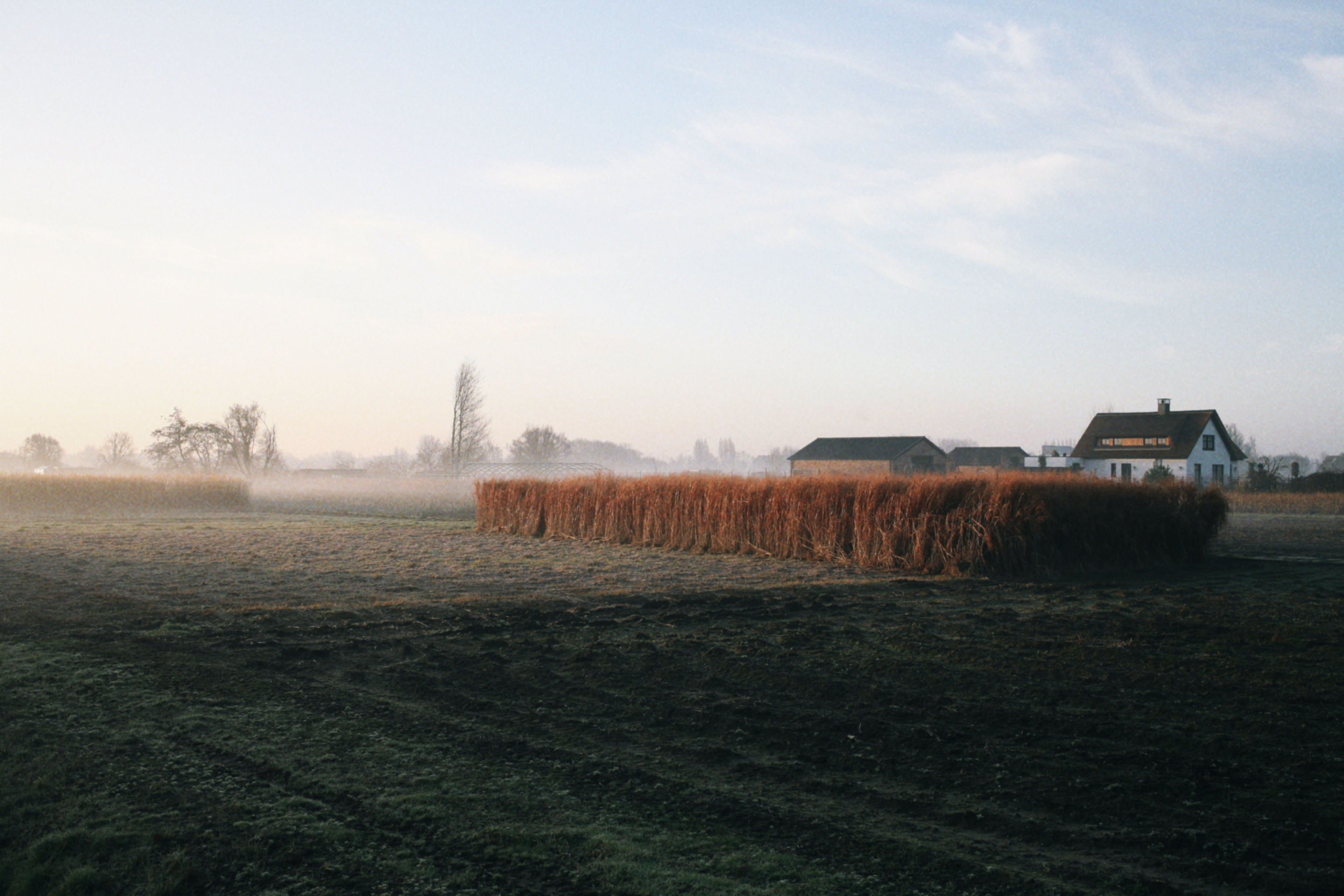 Photo of farm land in fog, shot on the Canon 5D Classic.