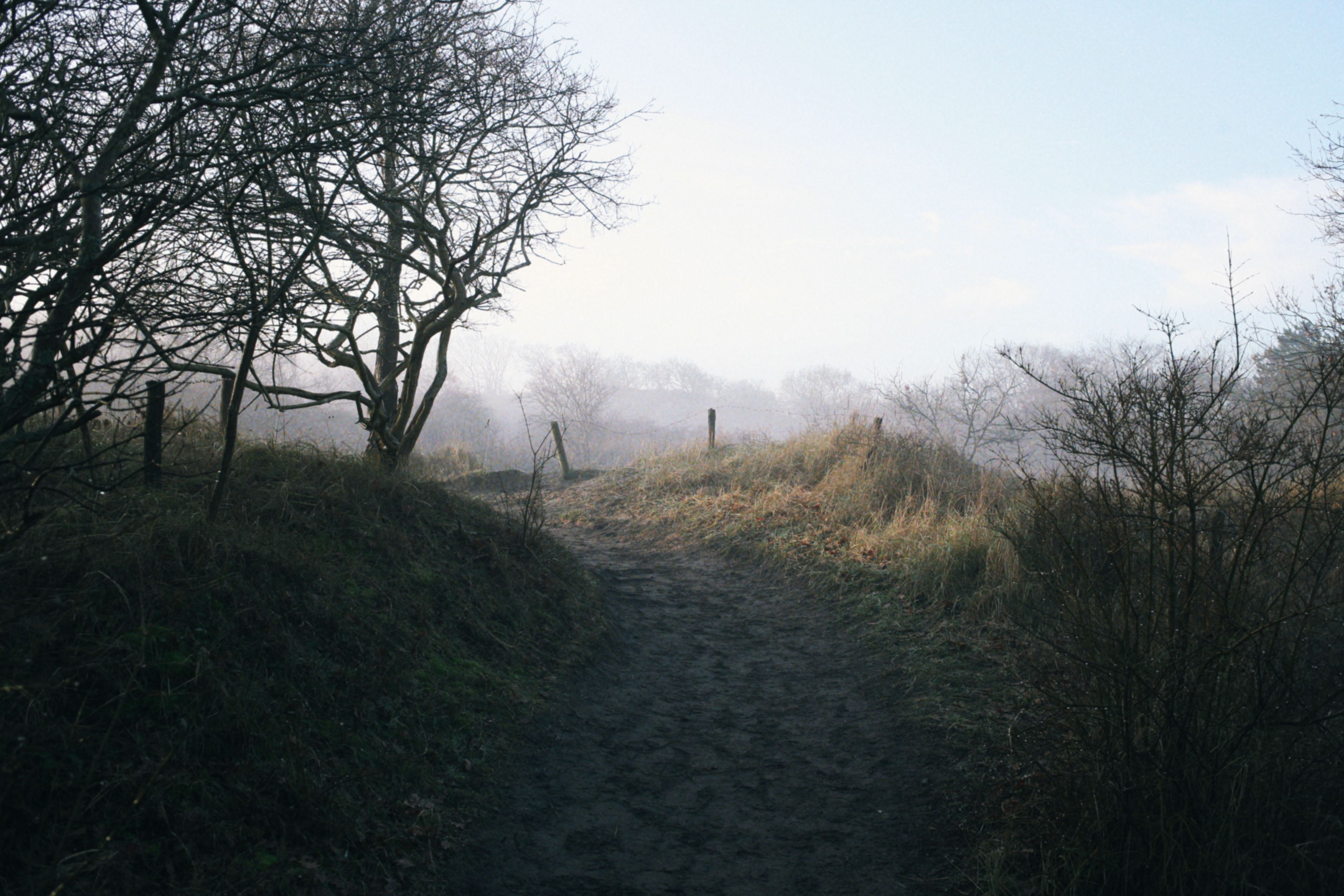 Photo of Panbos, shot on the Canon 5D Classic.