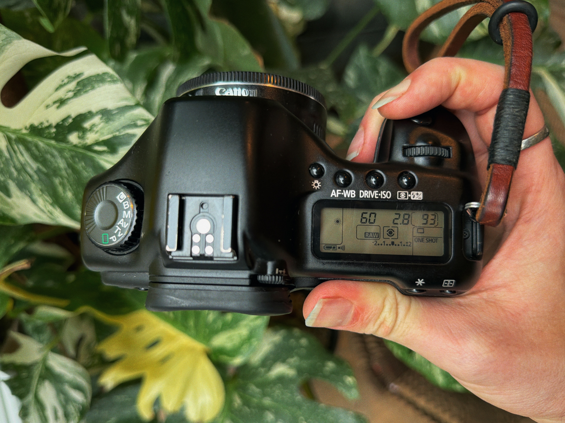 Canon 5D MKi Classic DSLR camera, top view.