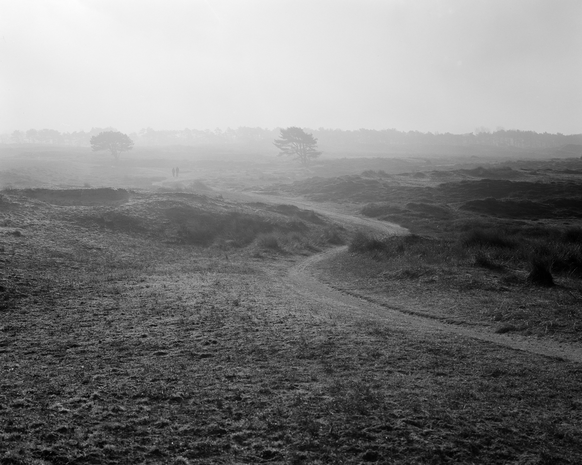 4x5 photo example made on Fomapan 200.