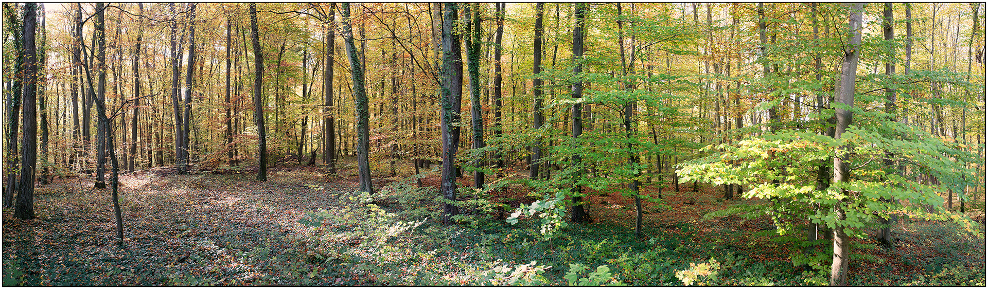 Bloklapp - Dudelange