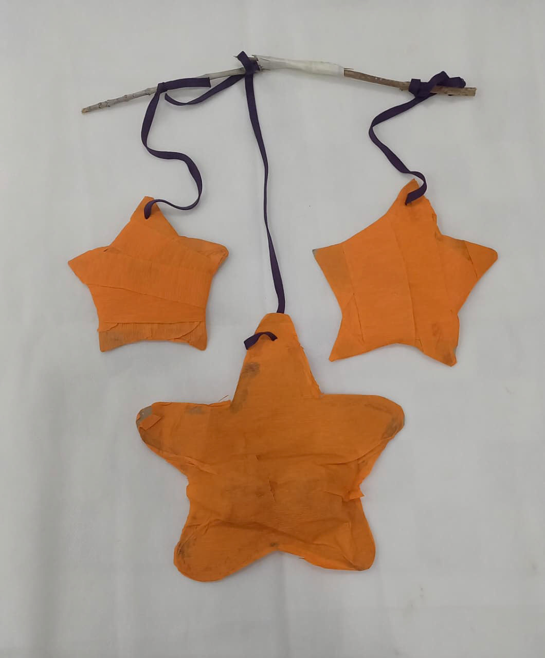 Sofia Suarez Ingratta