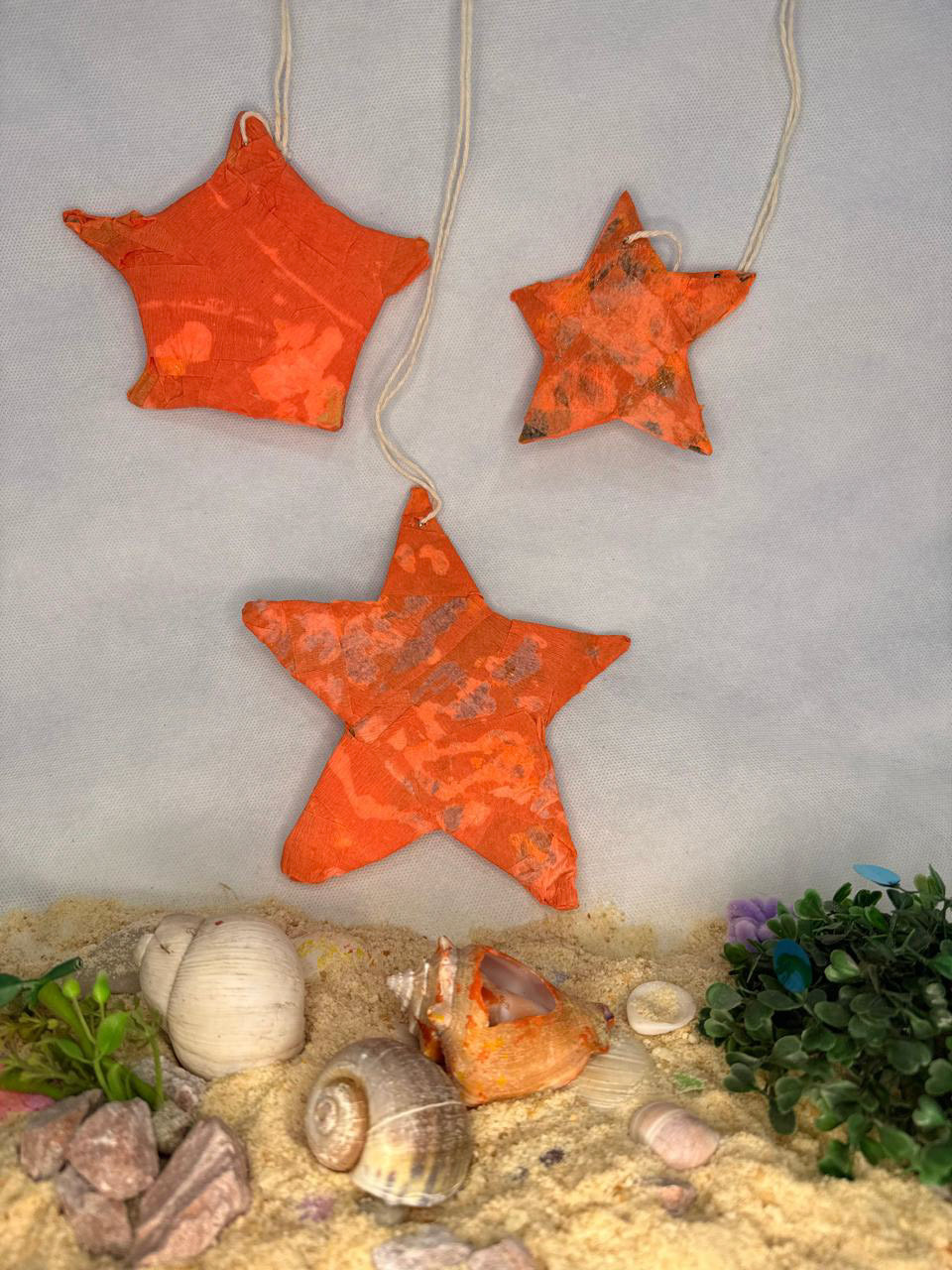 Sofia Valeira Buenvecino