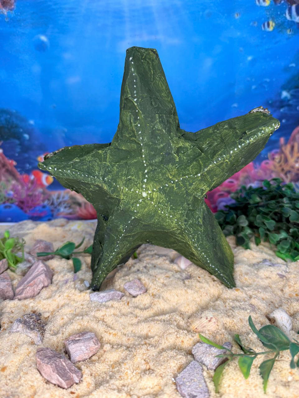 Guillermina Sanguedolce