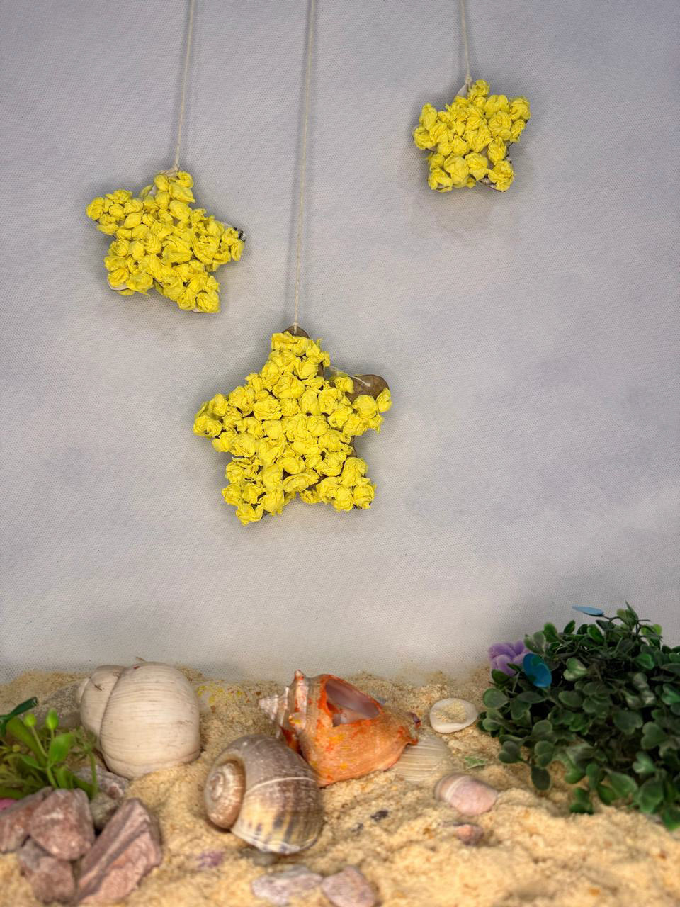 Guillermina Paz Bertolotti