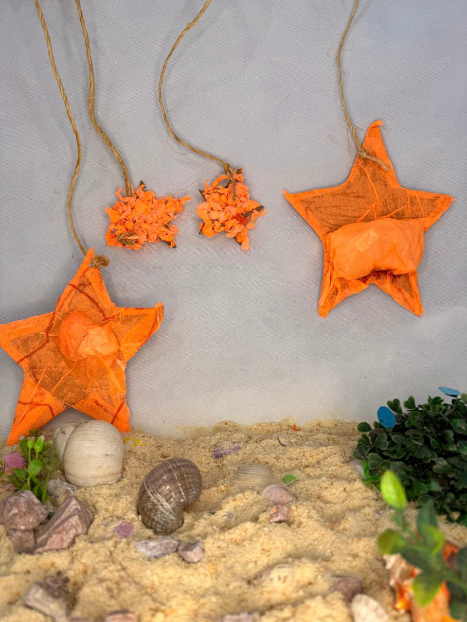 Horacio Colomer Siragusa