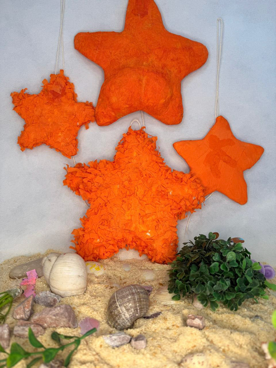 Delfina Nuñez Camar