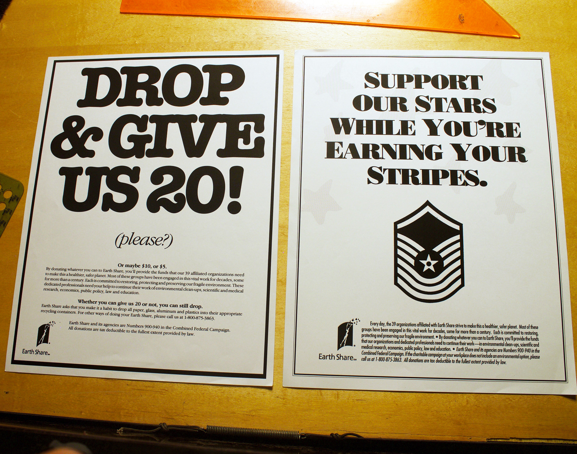 Ads run in a military publication for contributions to a non-profit environmental organization.