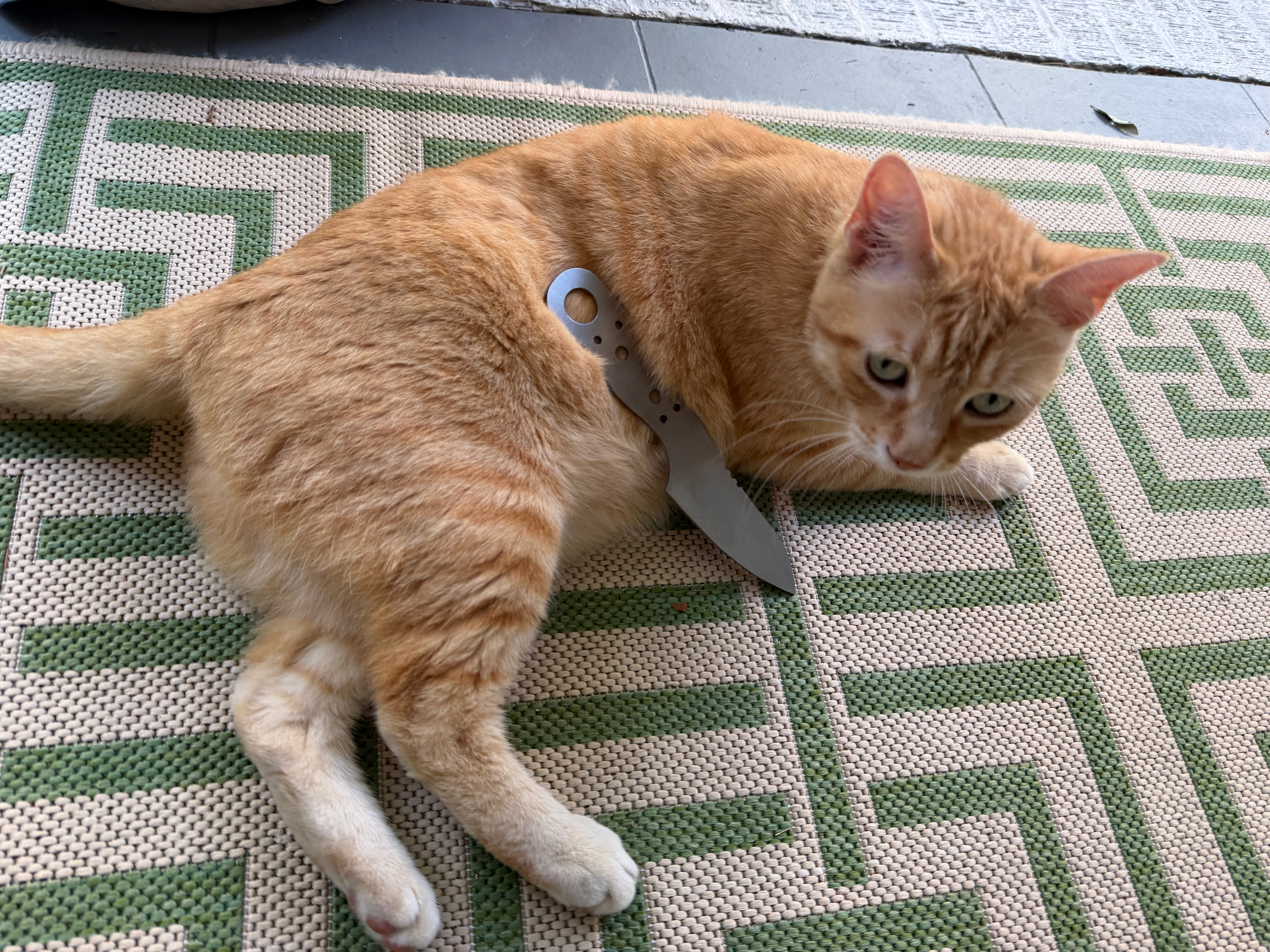 Roscoe