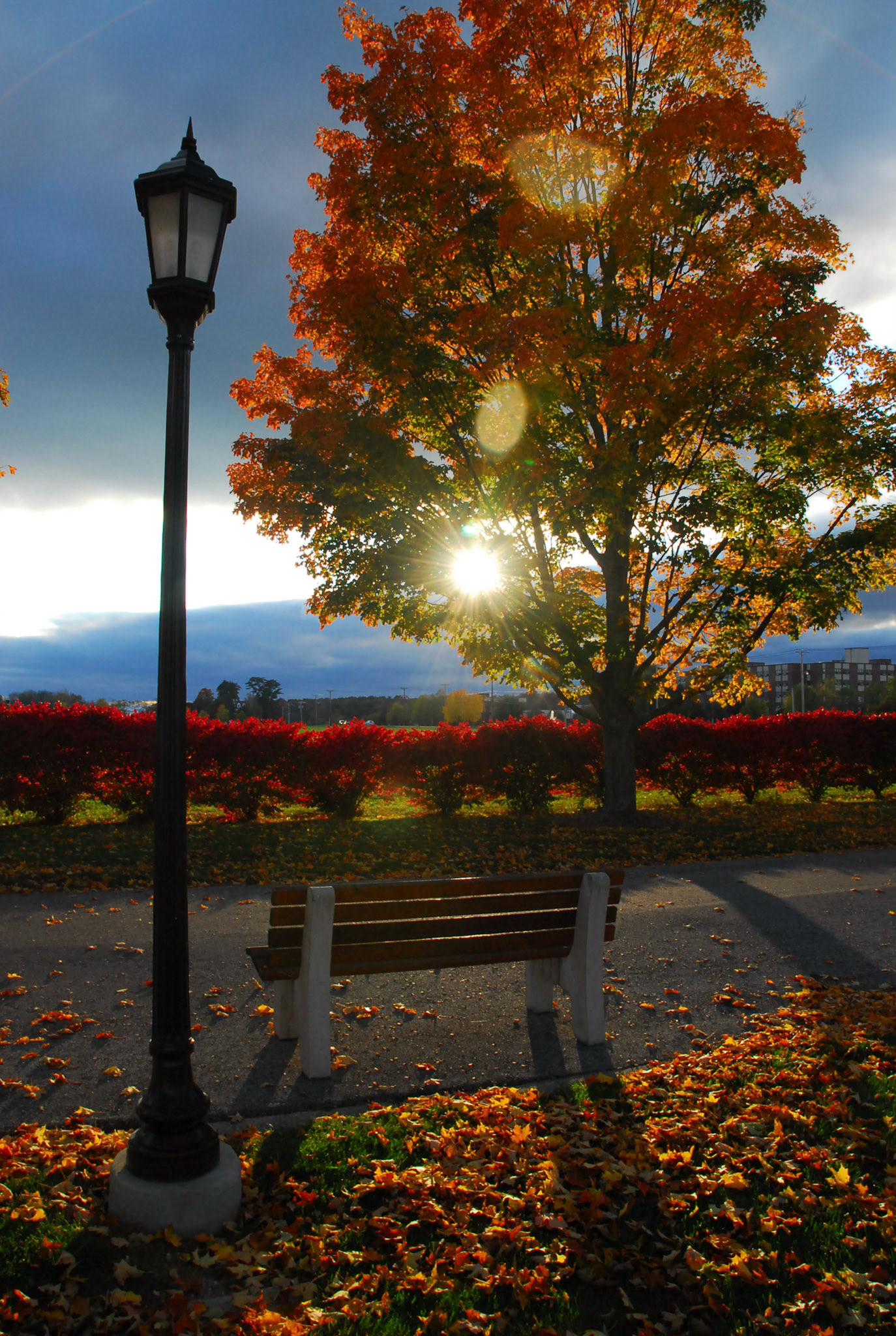 Autumn afternoon in New England