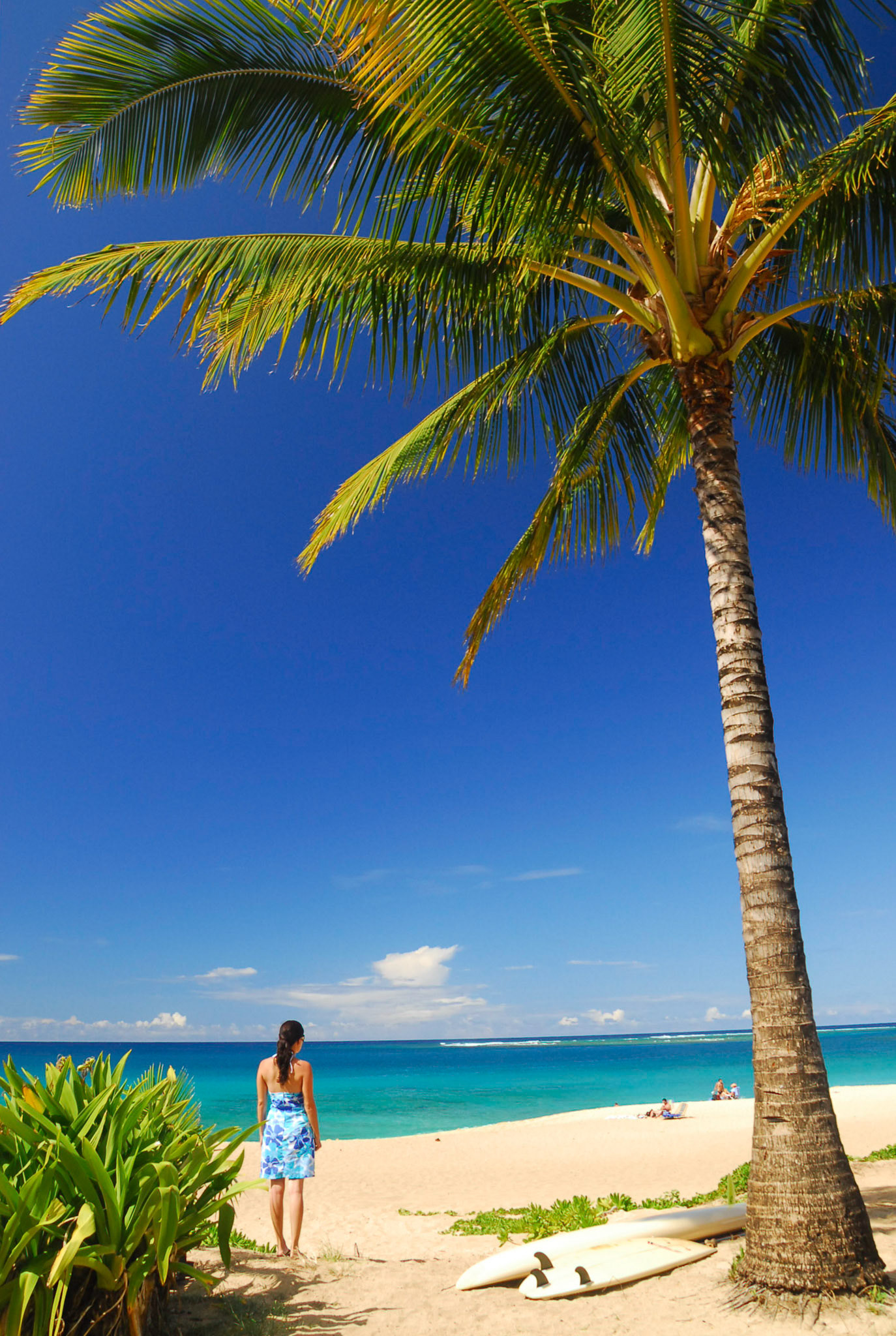 Woman on tropical beach looking out over the water