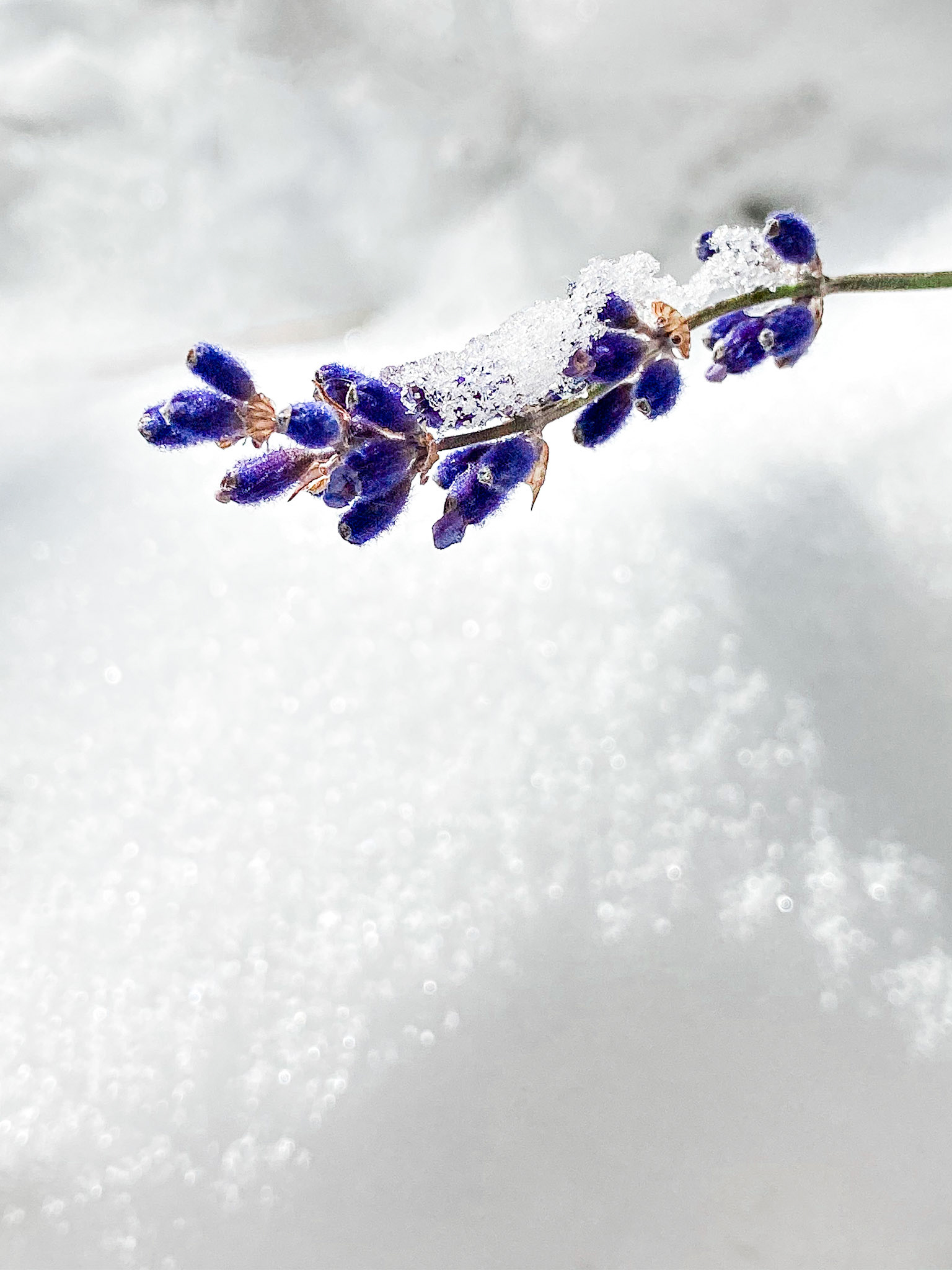 Time and Circumstance