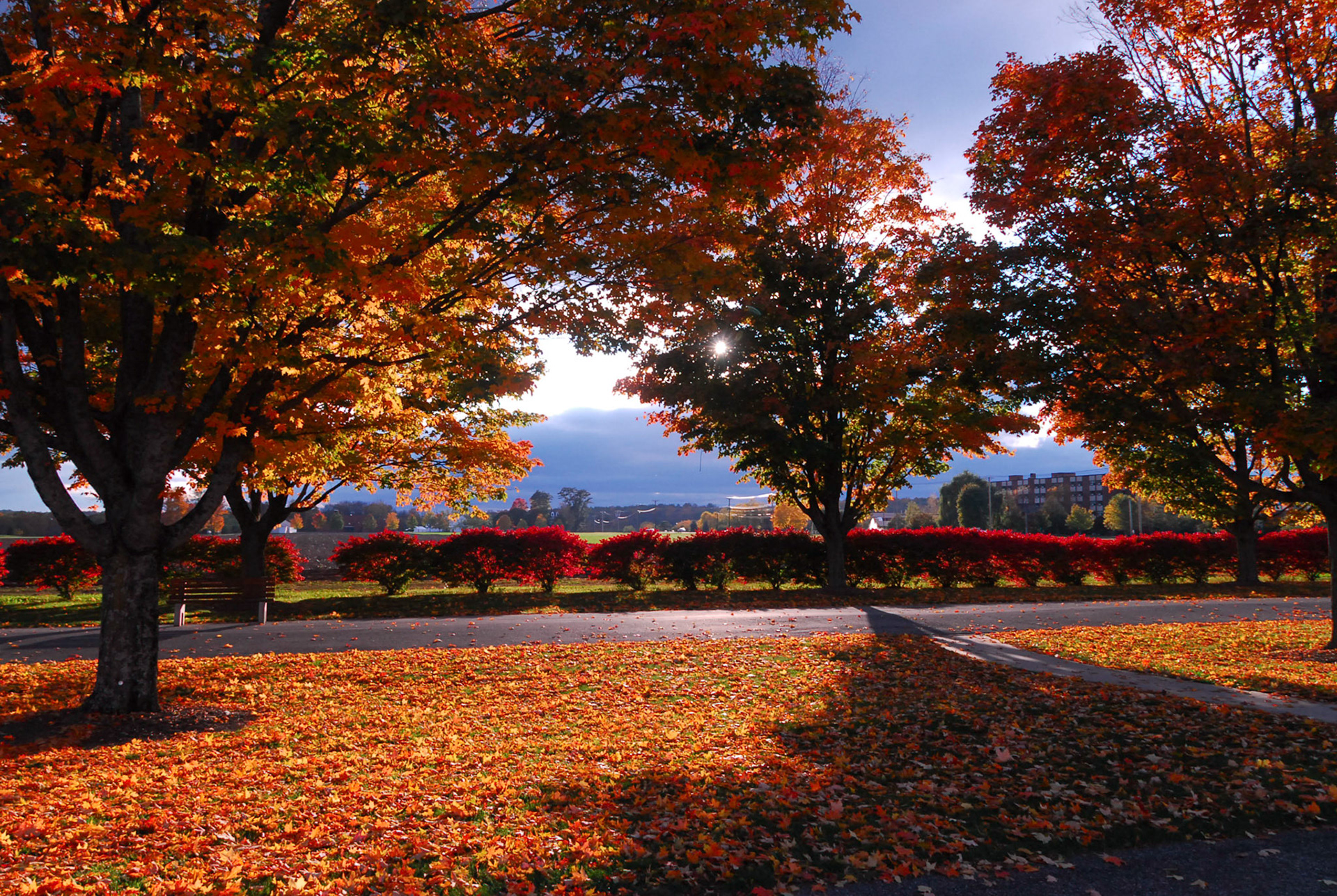 Fall colors in New England