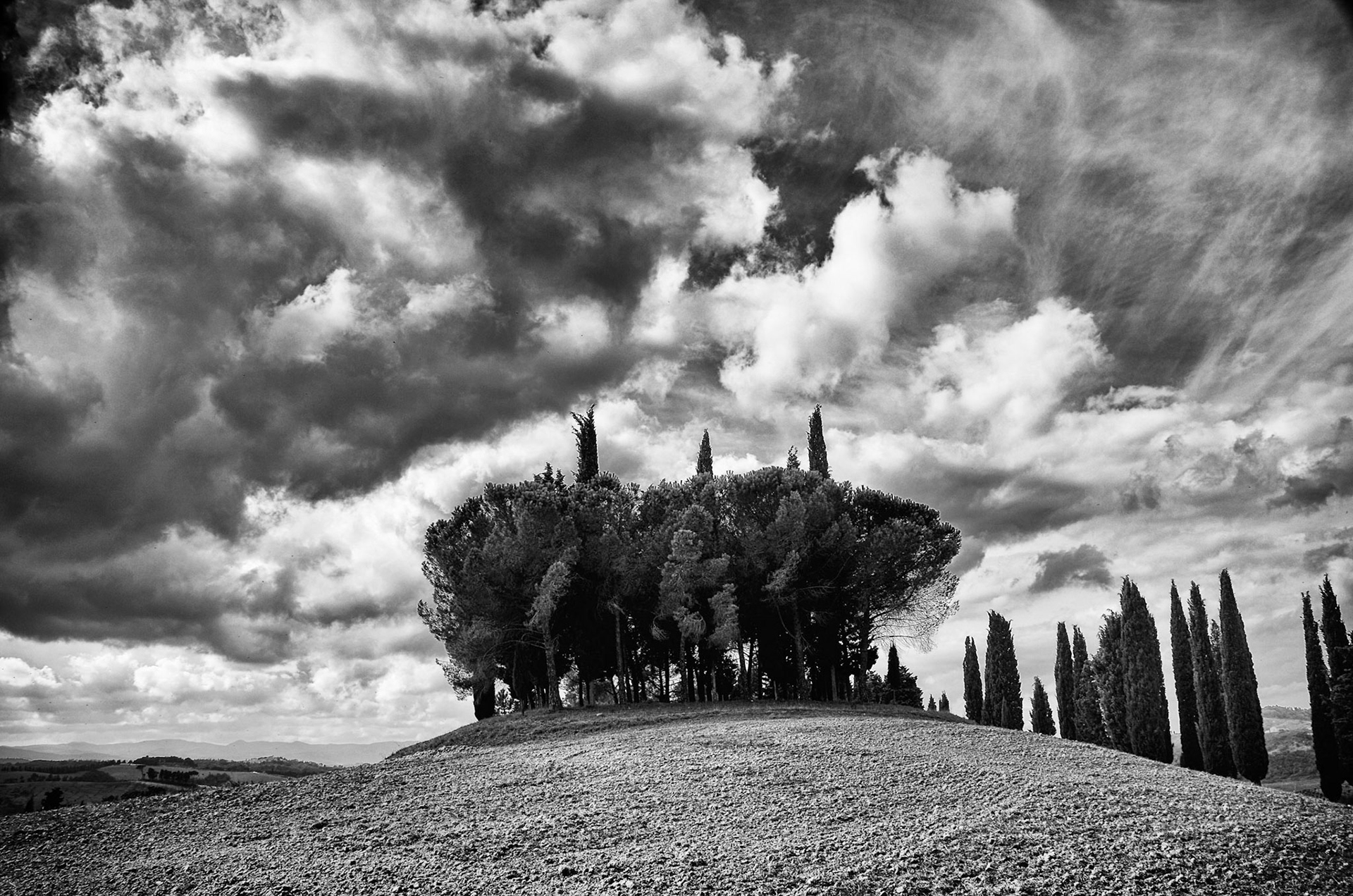 Tuscan Drama