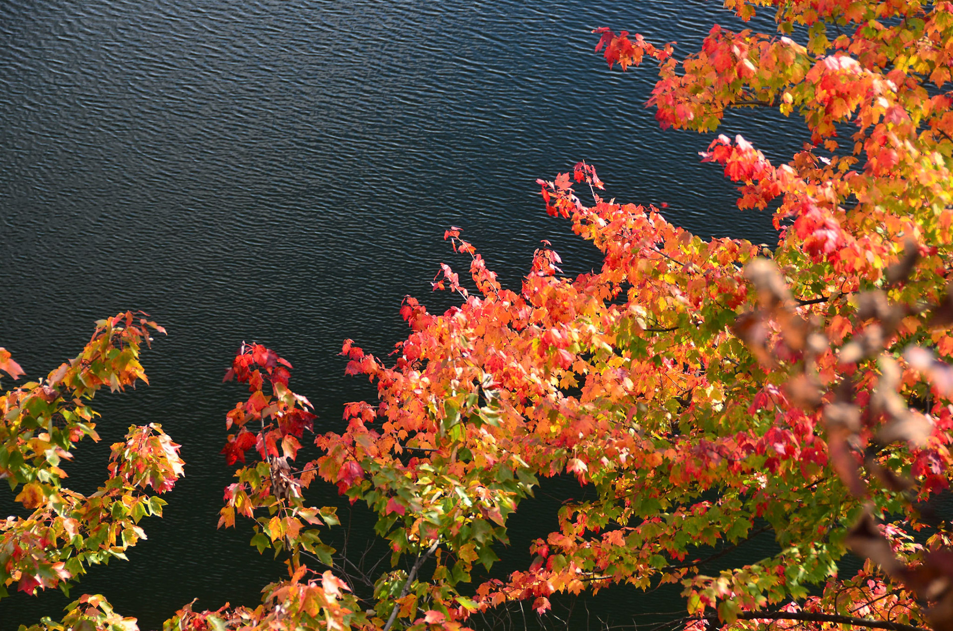 Vibrant fall colors against water in New England