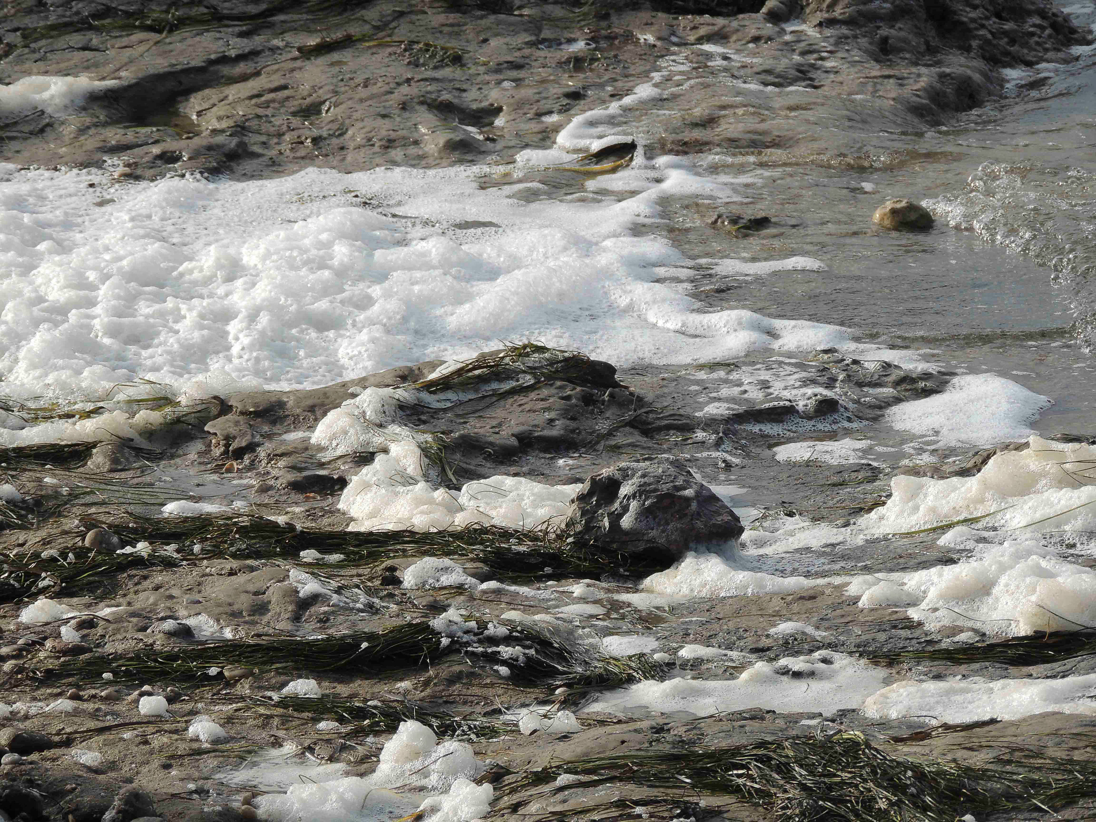 Empreinte : Pollution