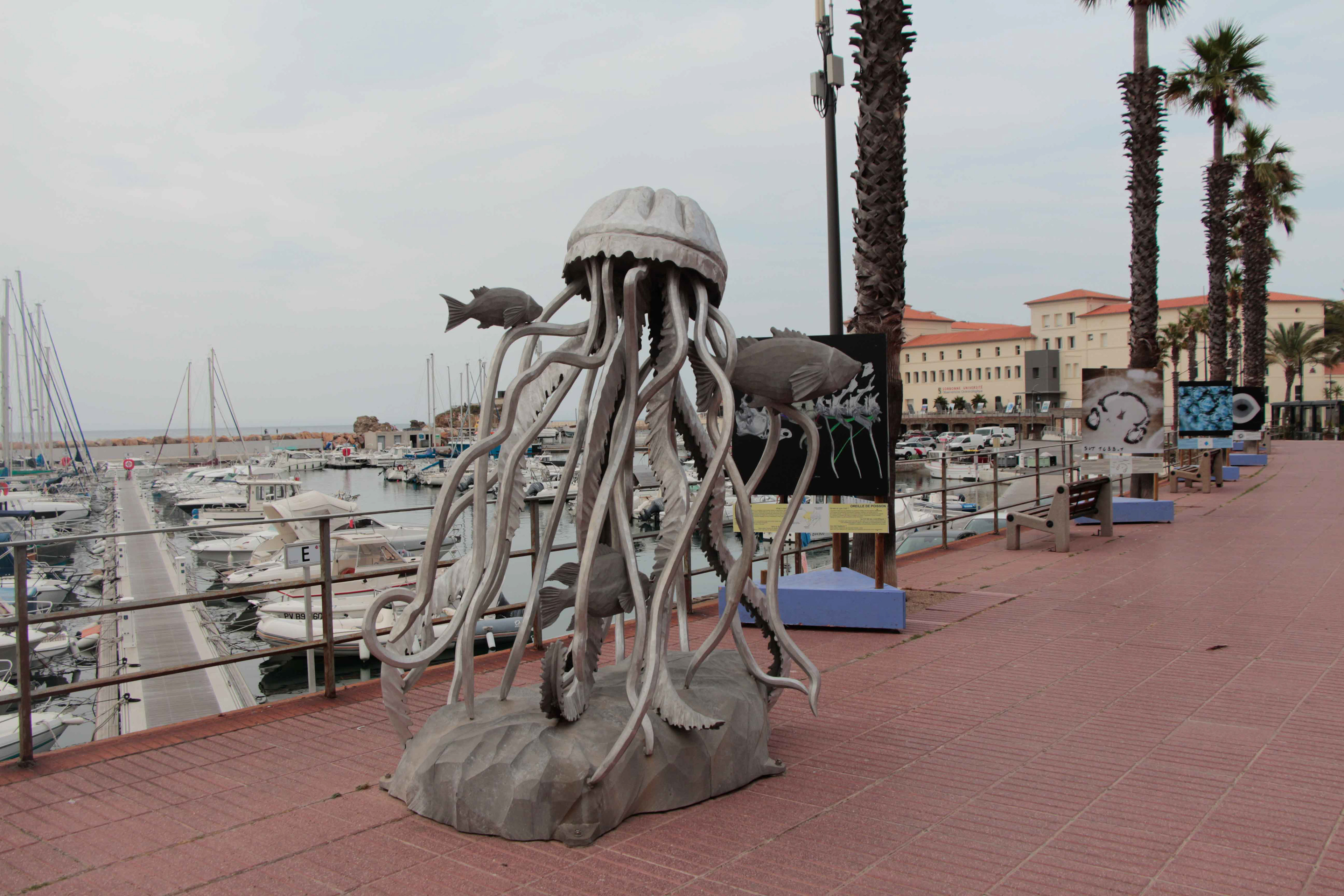 4. Banyuls/Mer - Ballet d’une méduse cristalline, 2022 Sculpture en fonte d’aluminium de Cyrille André