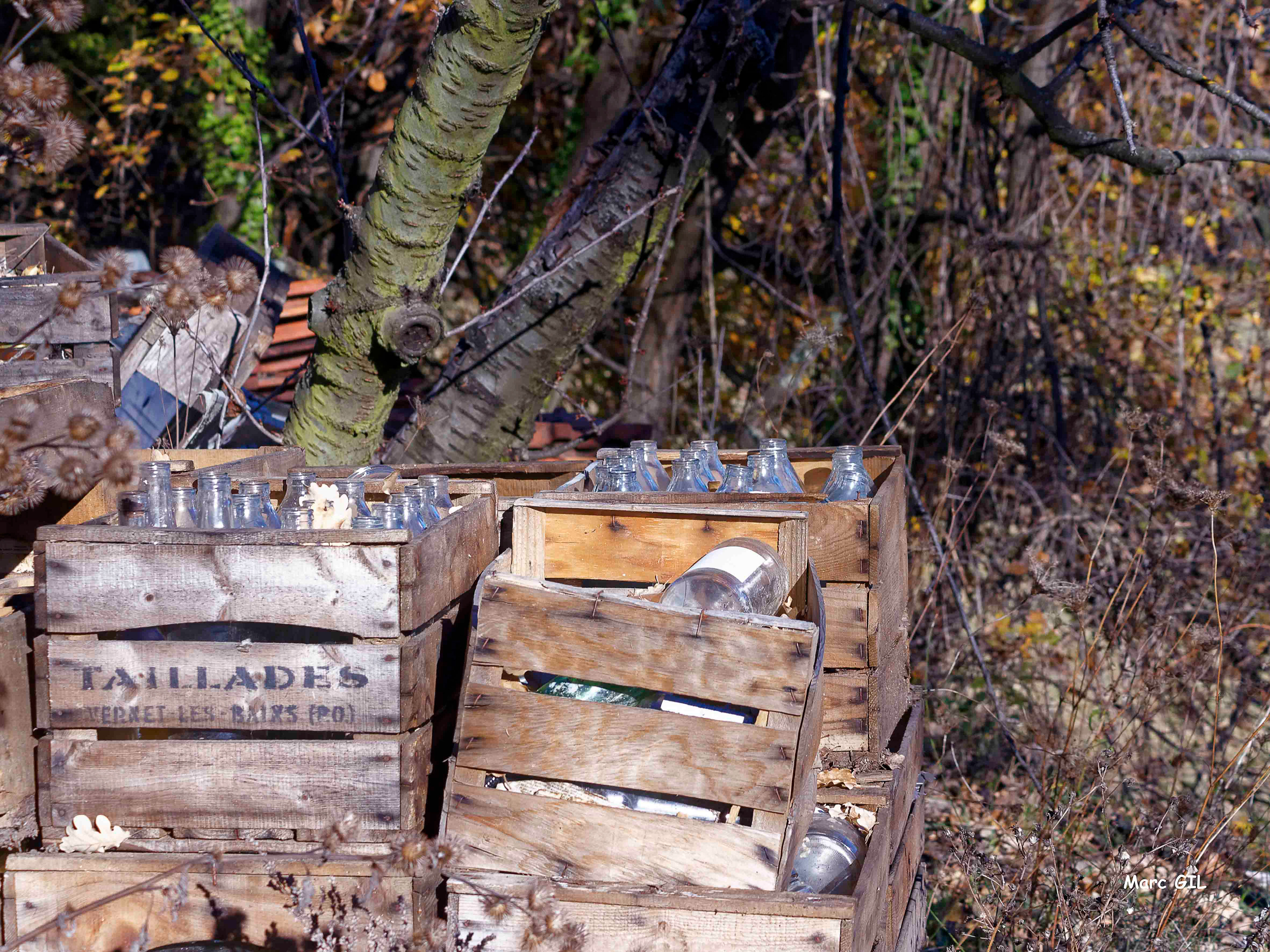 Empreinte : déchets