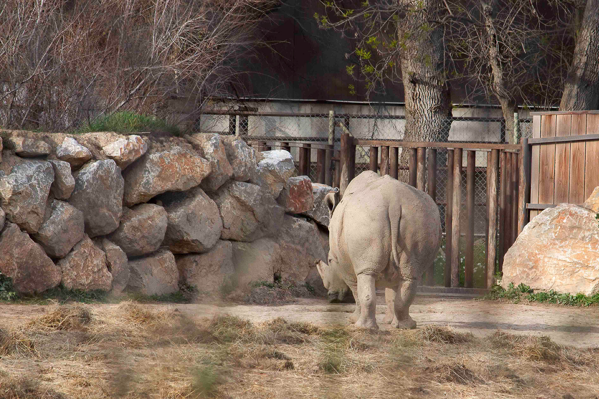 La nature reprend le dessus