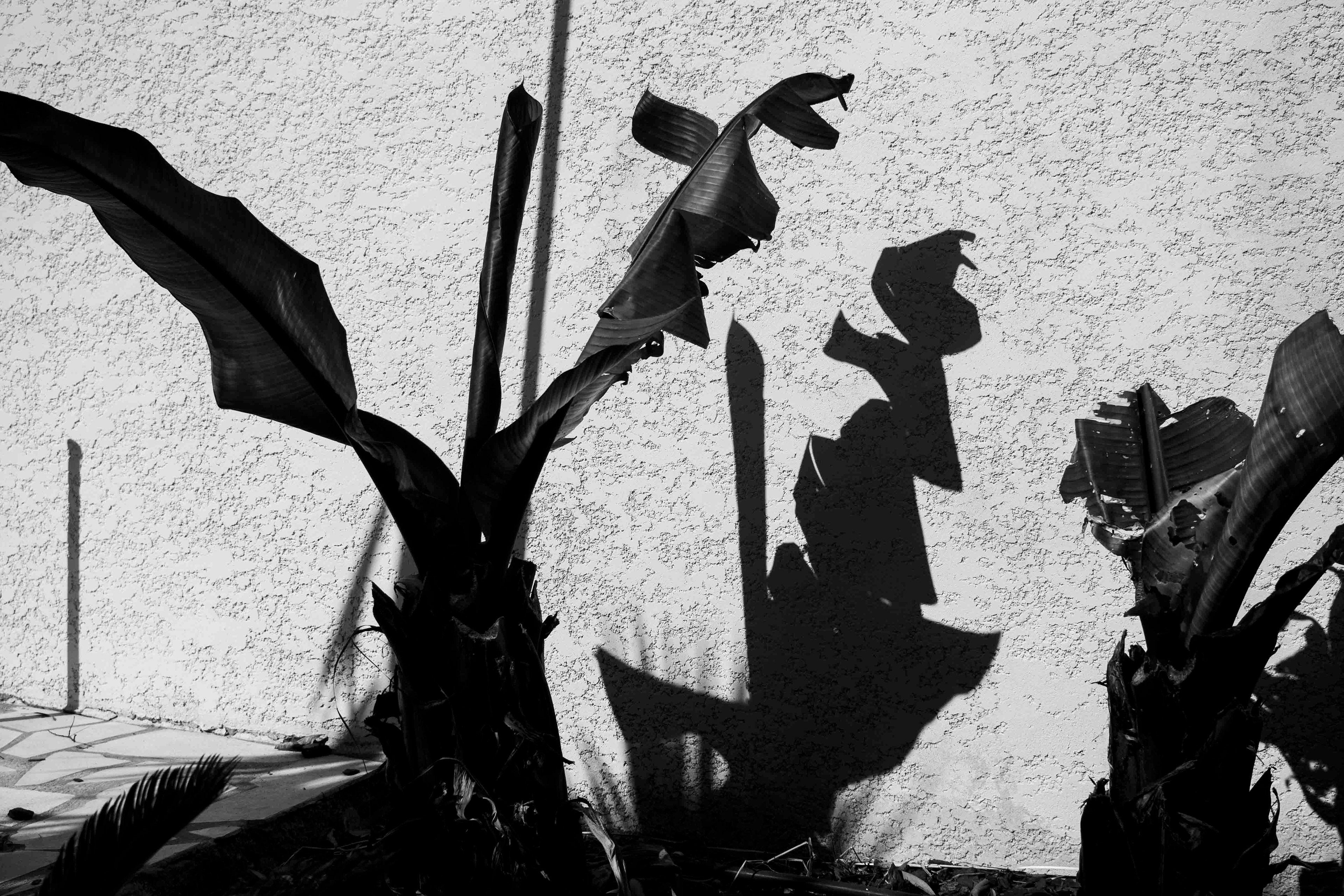 Ombre&Lumiere _Tv 1-350 s à f - 4,0 _ ISO 100  - 24 mm _Manuel Point  Eric R..