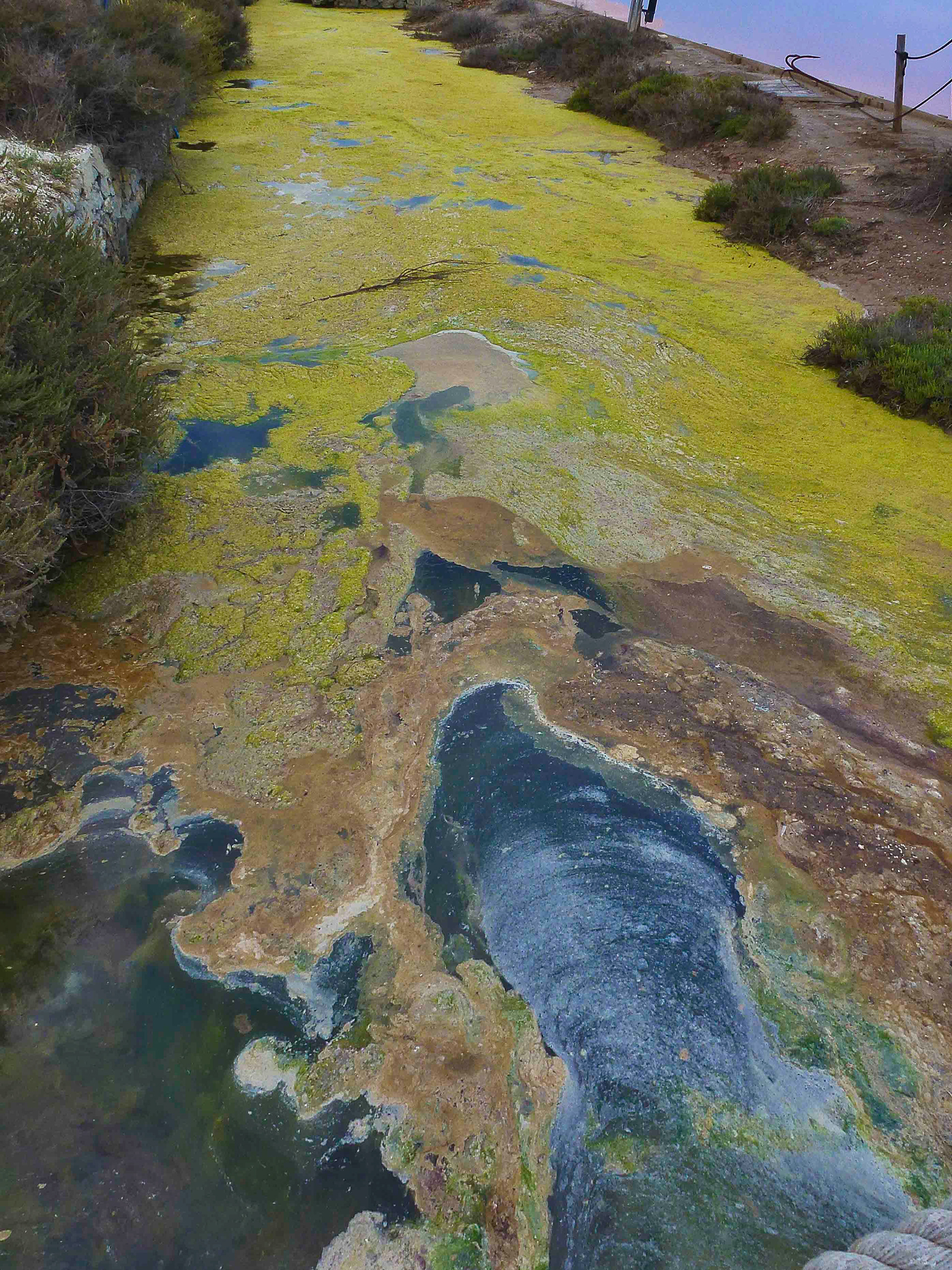 Empreinte : déchets