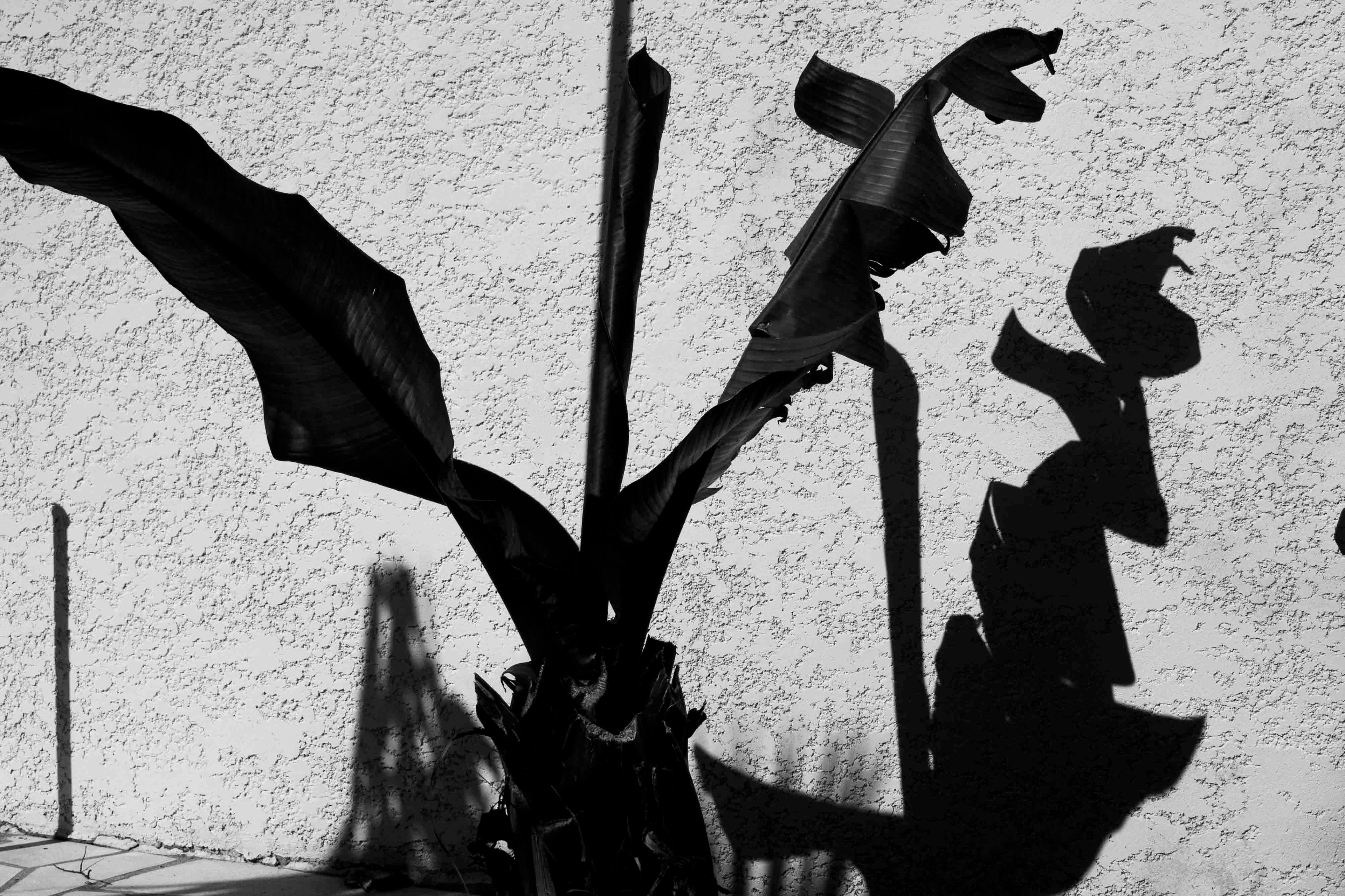 Ombre&Lumiere _Tv 1-125 s à f - 11 _ ISO 100  - 24 mm _Manuel Point  Eric R.